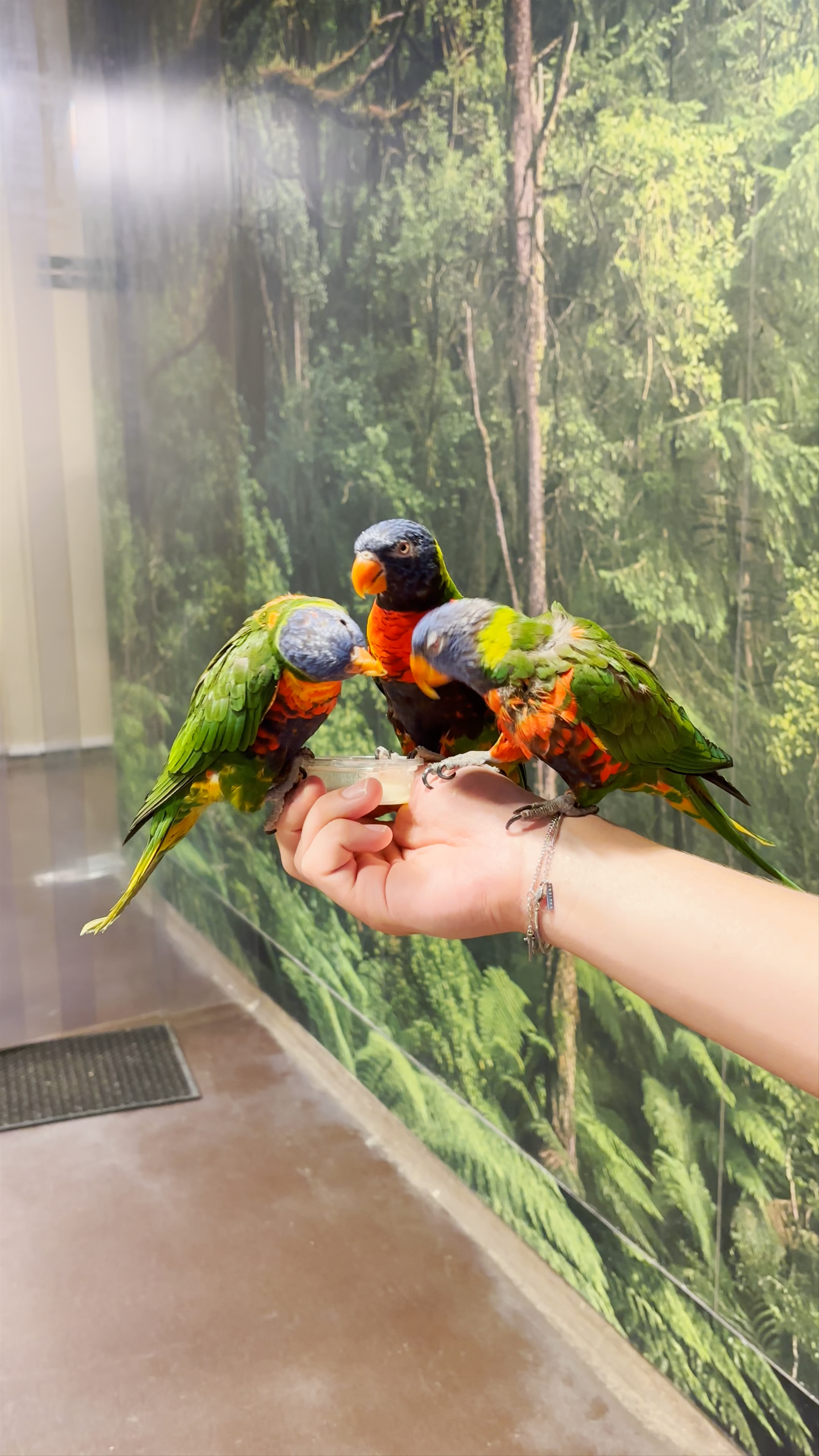 Zoopark