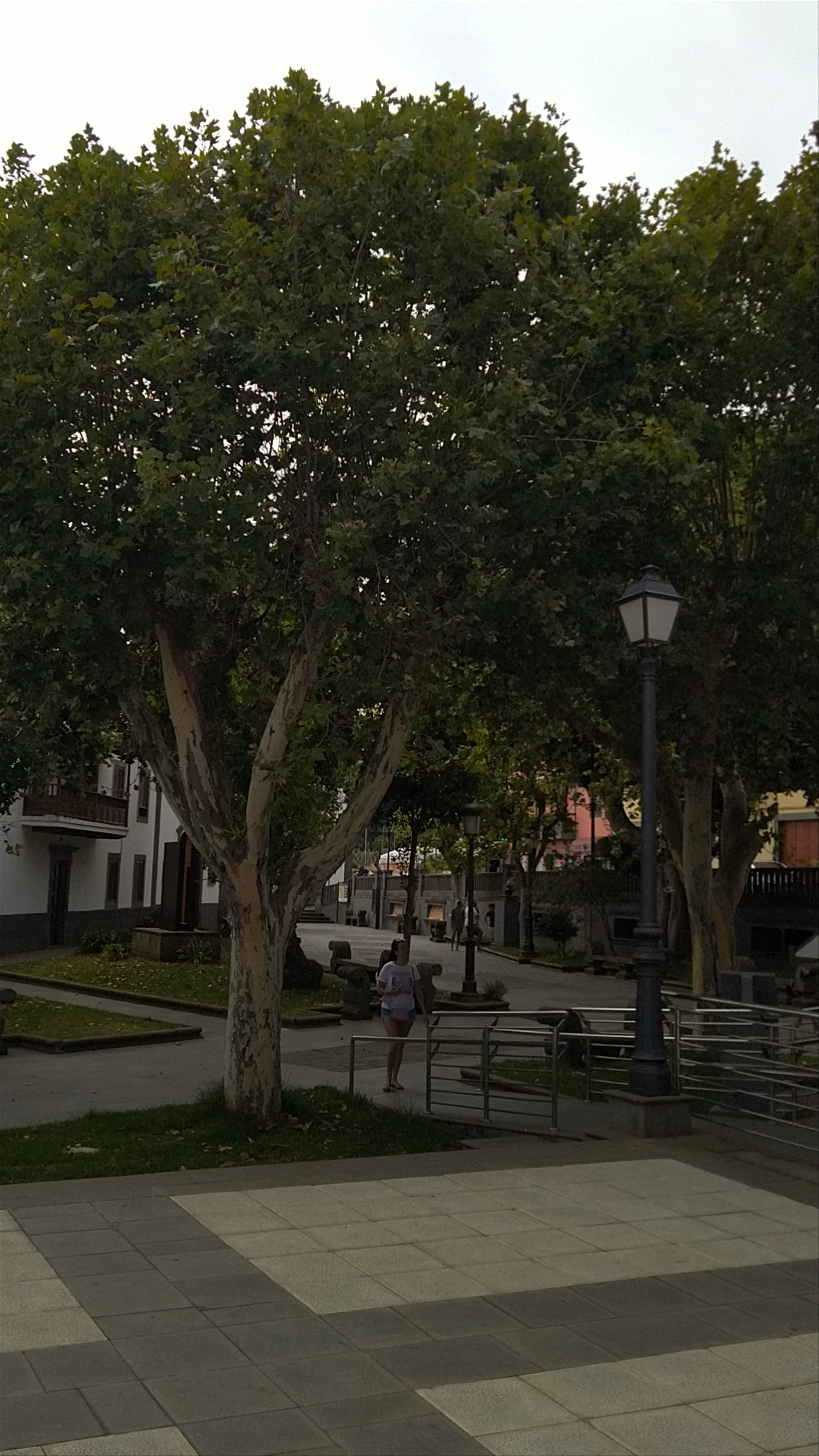 Mirador Plaza De San Roque