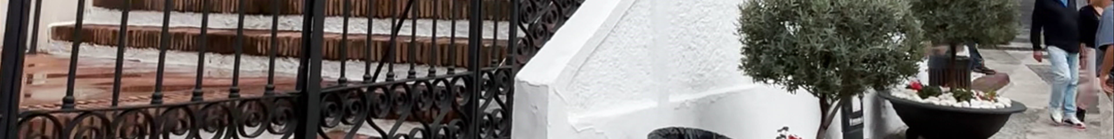 Tours & experiences in Nerja