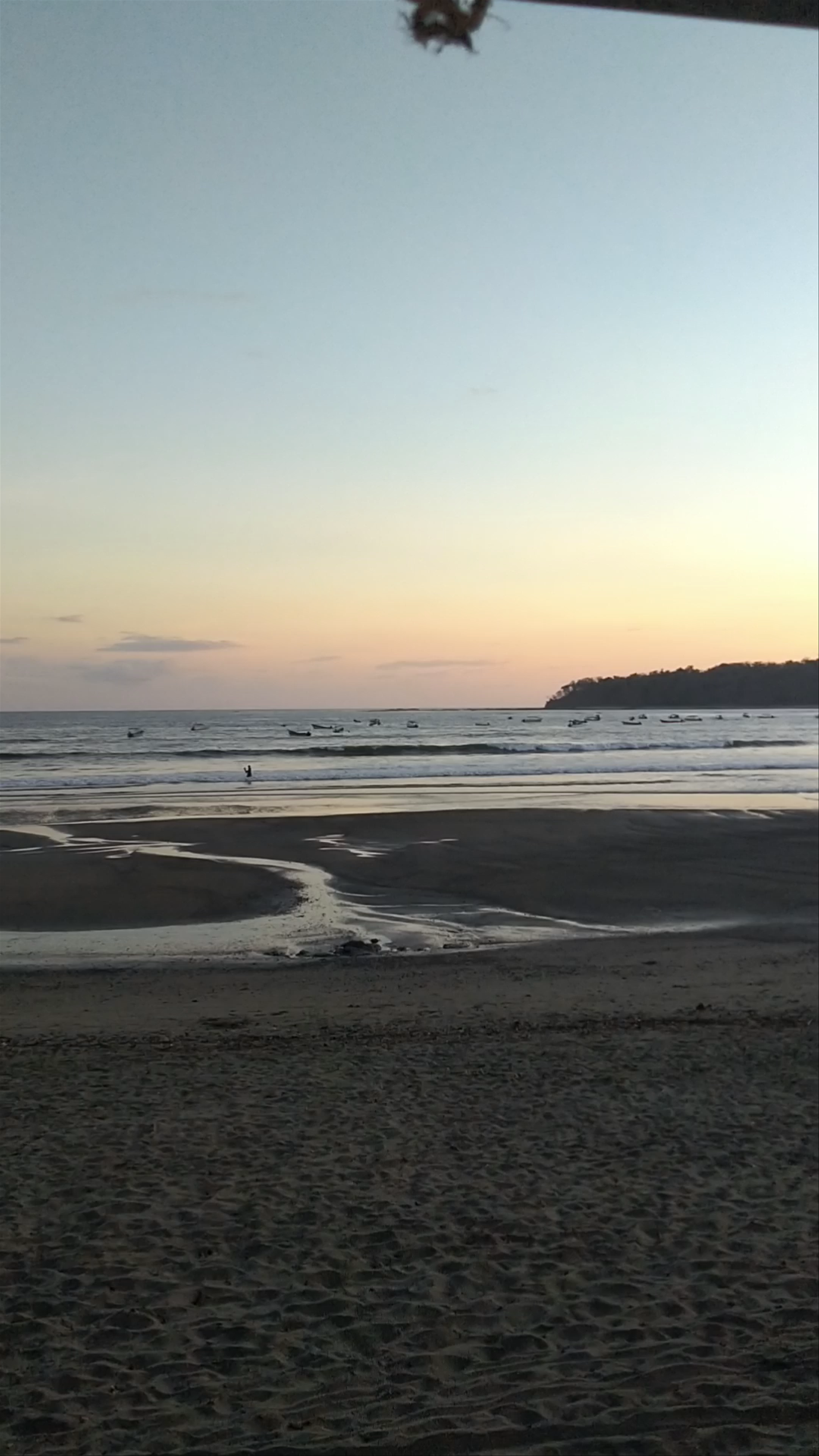 Restaurante Pinguinos