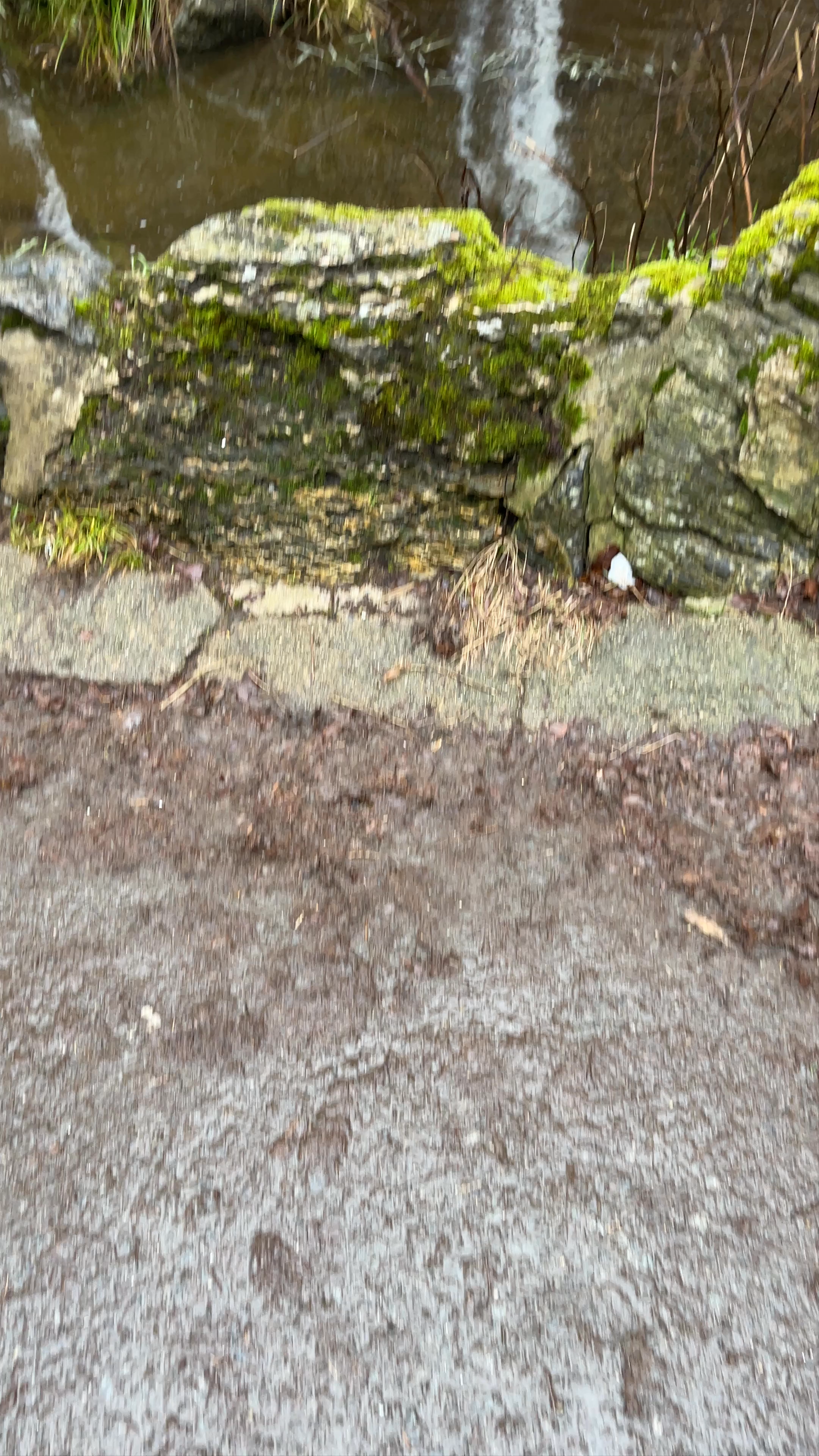 Romkerhaller Wasserfall