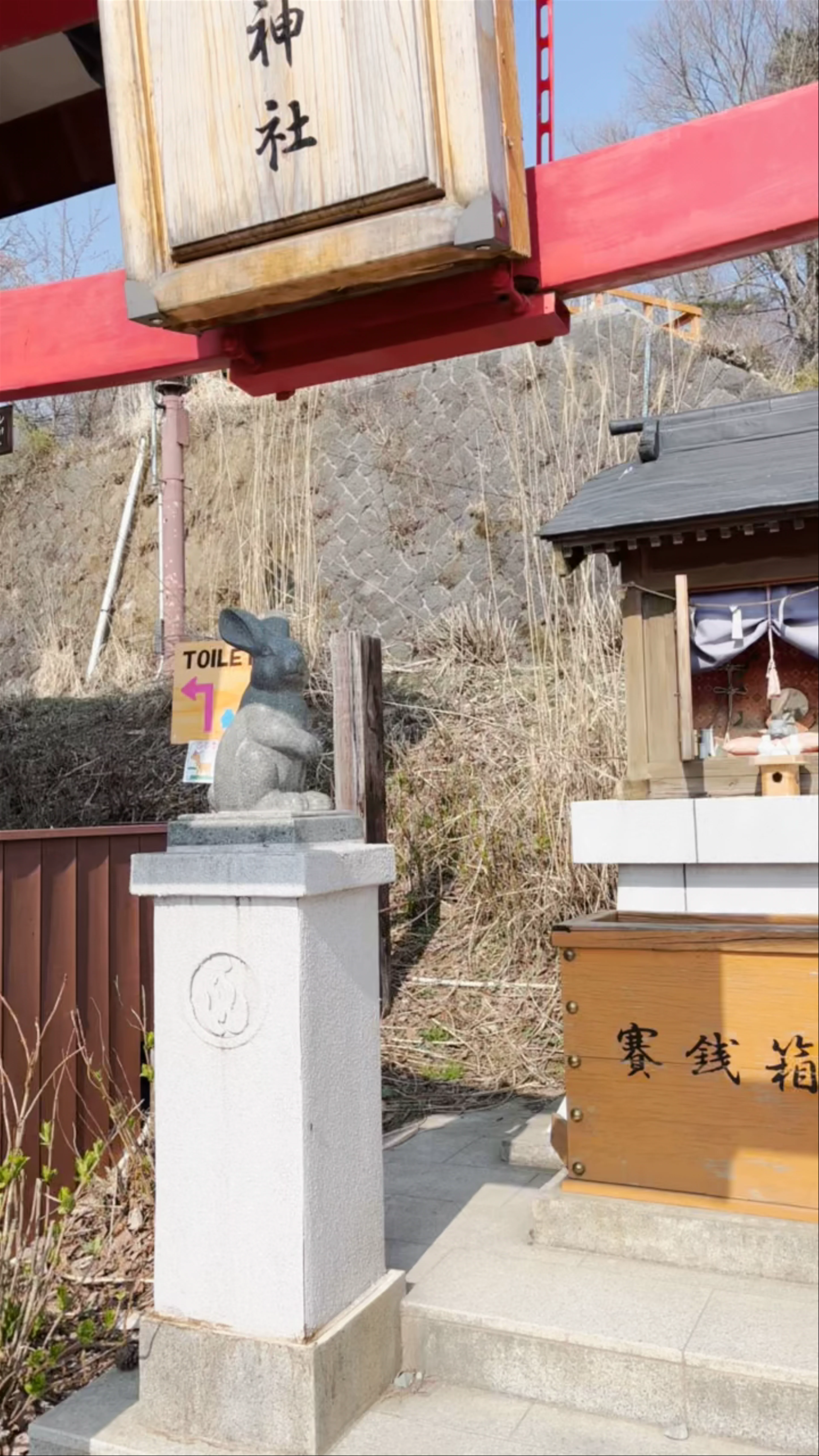 Mount Fuji Viewing Platform
