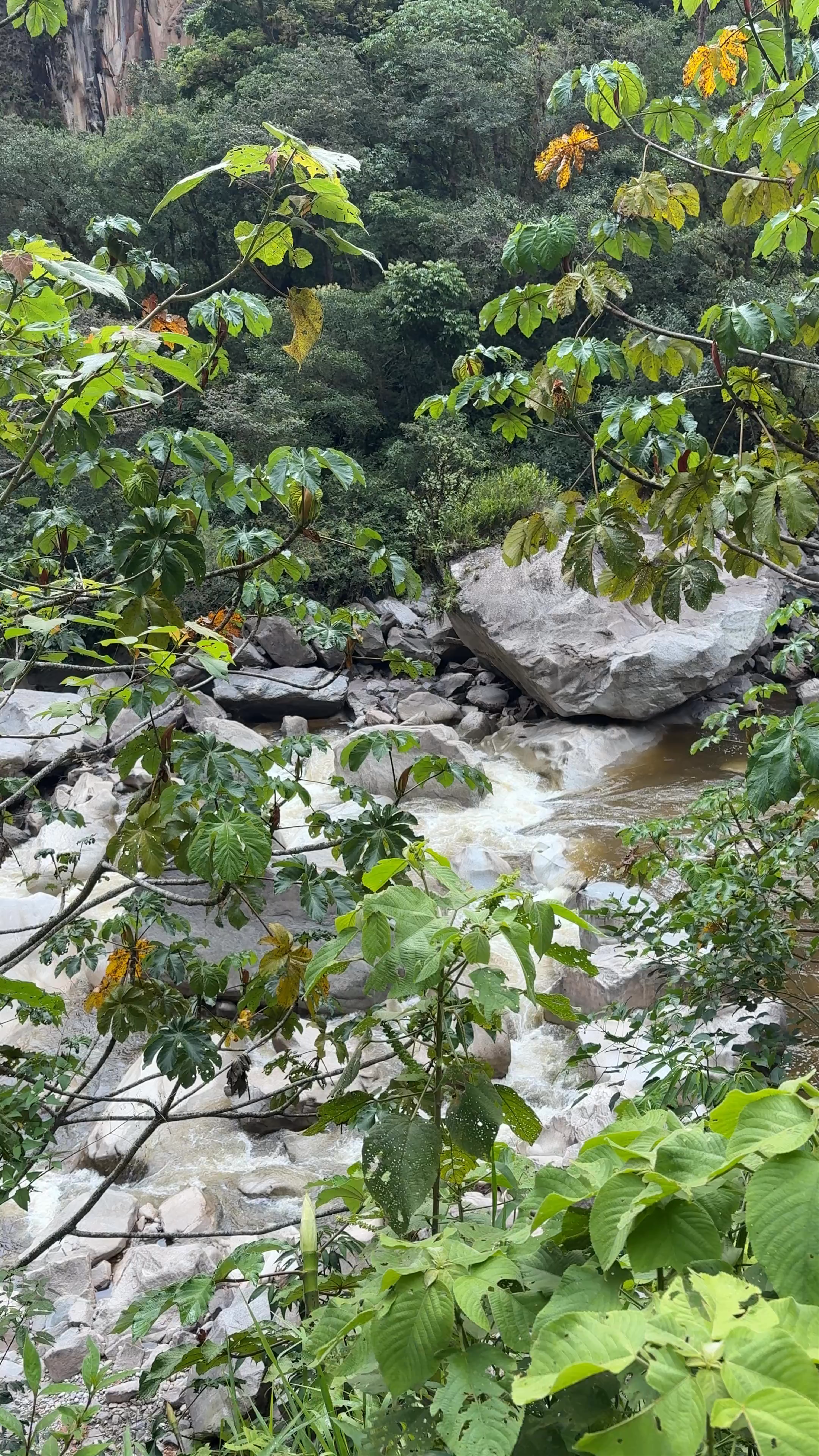 Camino Hidroeléctrica Aguas Calientes