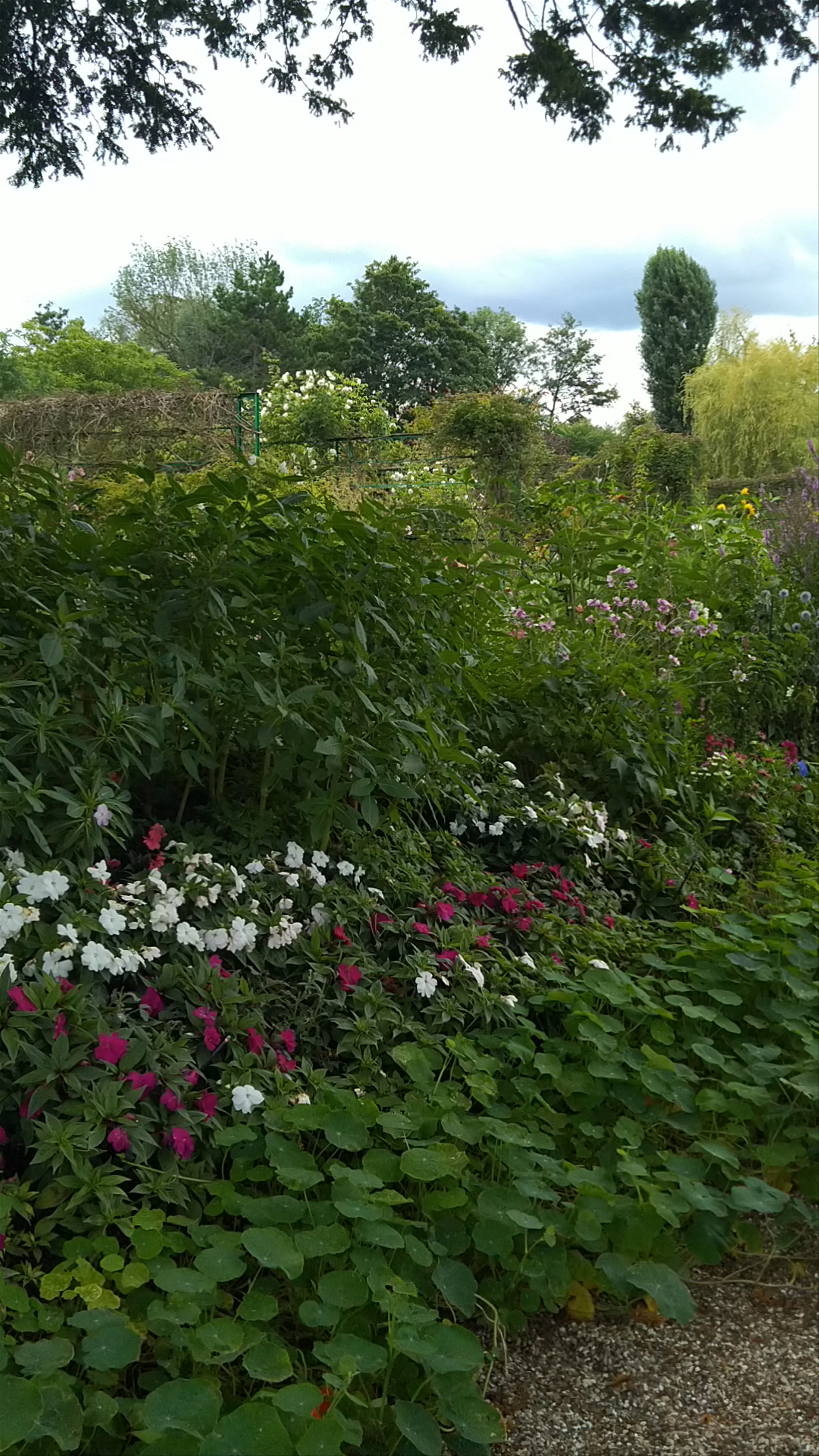 Monet's house & garden