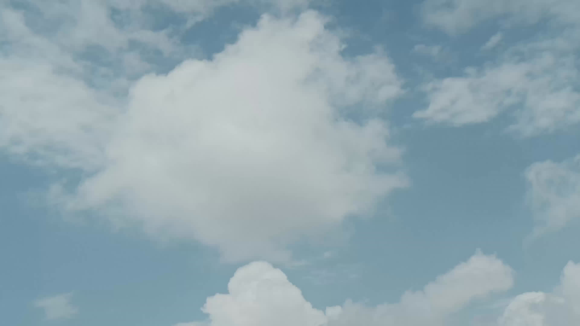Patta x Carhartt WIP Campaign video