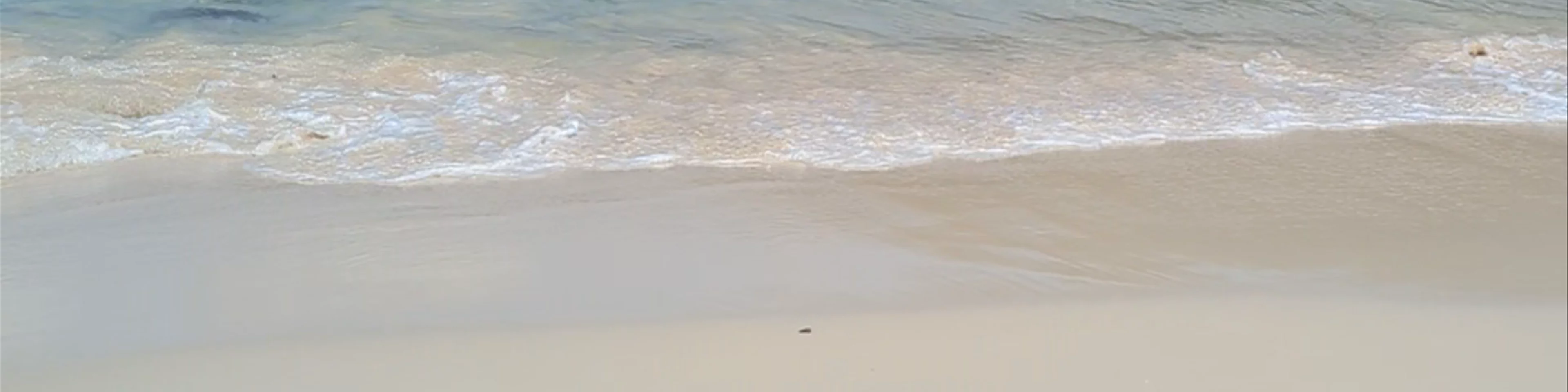 Freedom Beach