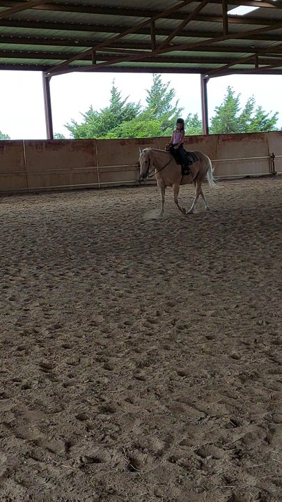 Capricorn Equestrian Center - Horseback Riding Near Me - Nevada, Texas