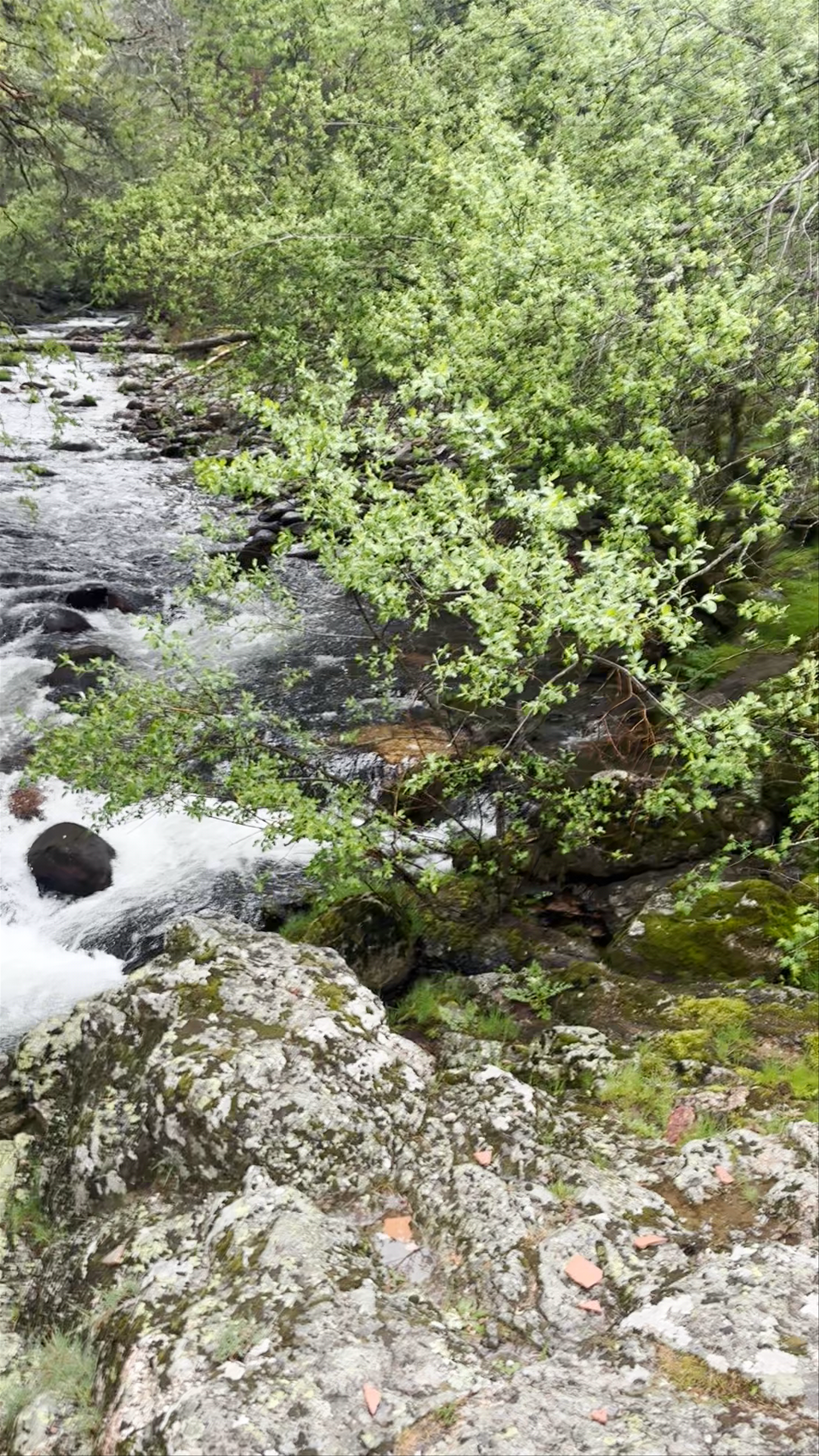 Ruta senderista Puente de la angostura