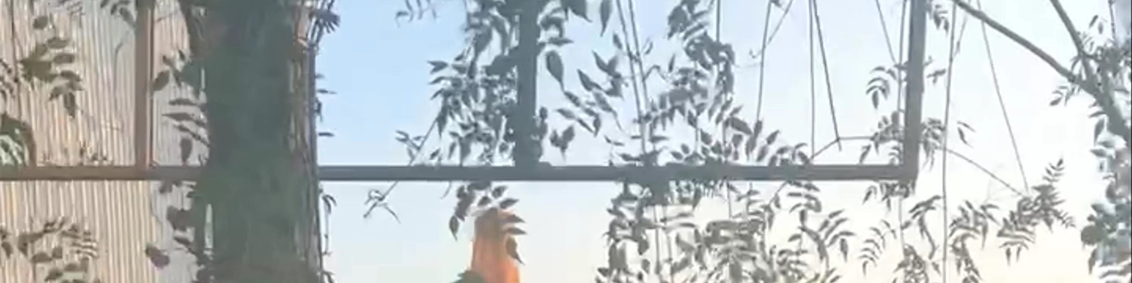 100 Roof Bar