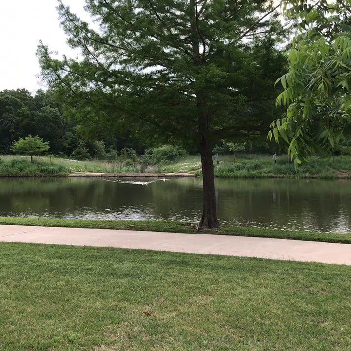 Bear Creek Park - Parks Near Me - Keller, Texas