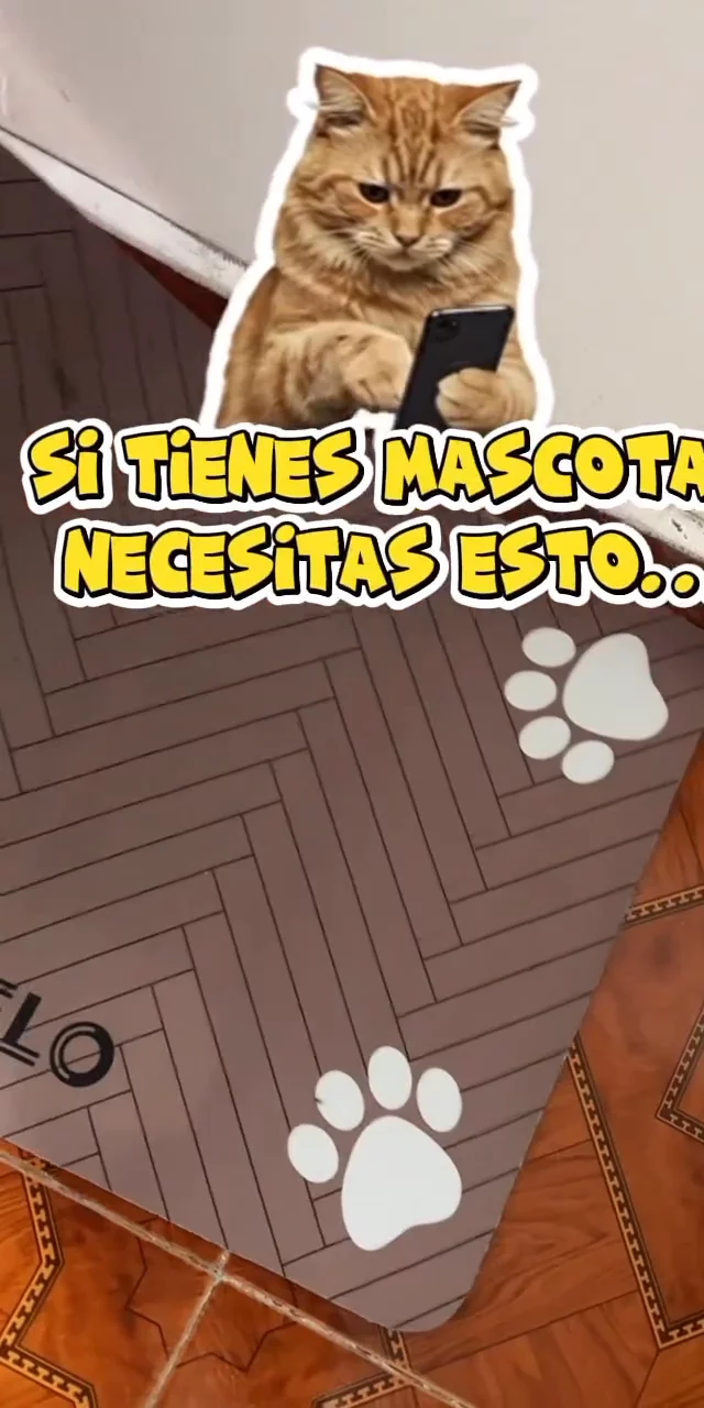 Contenido del creador