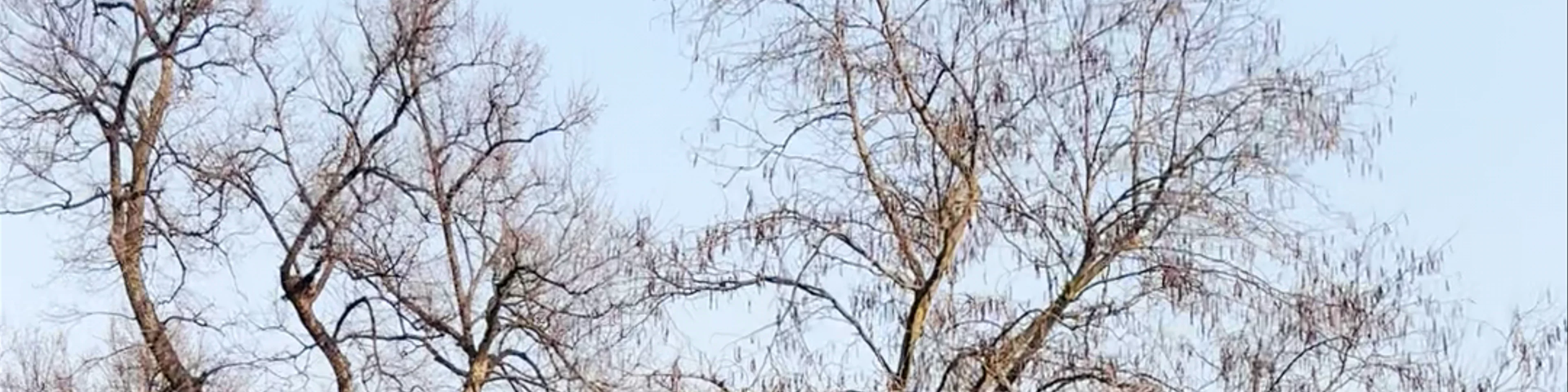 Parco Sempione