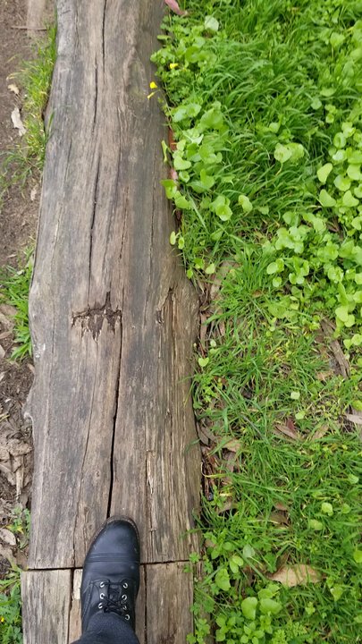ANDY GOLDSWORTHY’S WOOD LINE - Updated March 2026 - 184 Photos & 53 ...