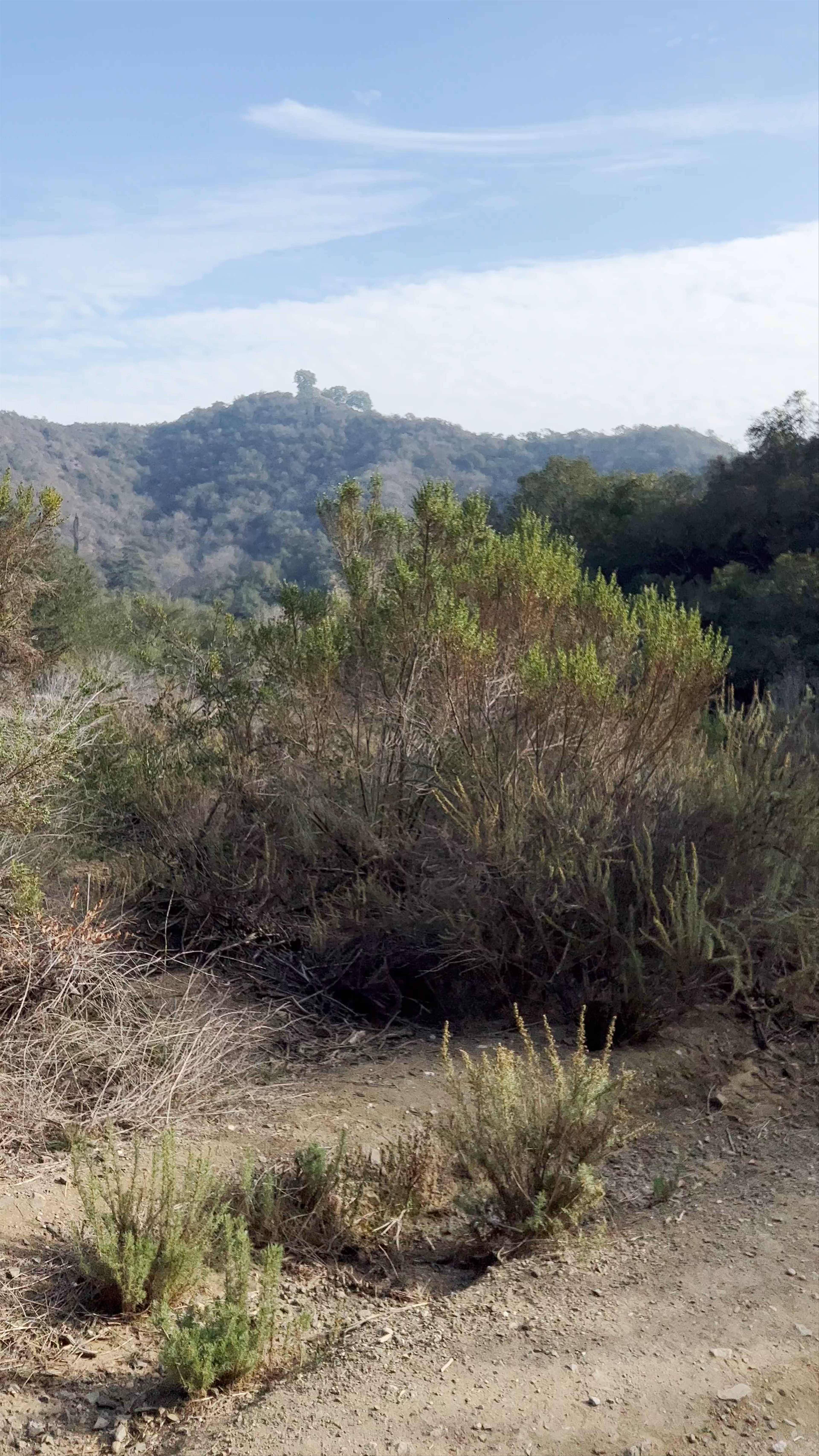 Serene Hiking Trail at Franklin Canyon Park, Beverly Hills
