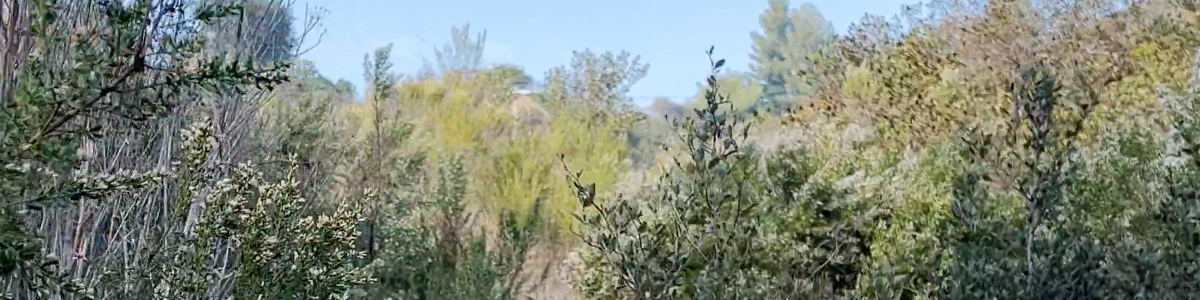 Franklin Canyon Park