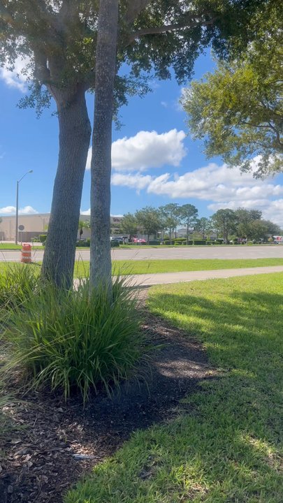 7 Brew Coffee - Juice Bars & Smoothies Near Me - Rockledge, Florida
