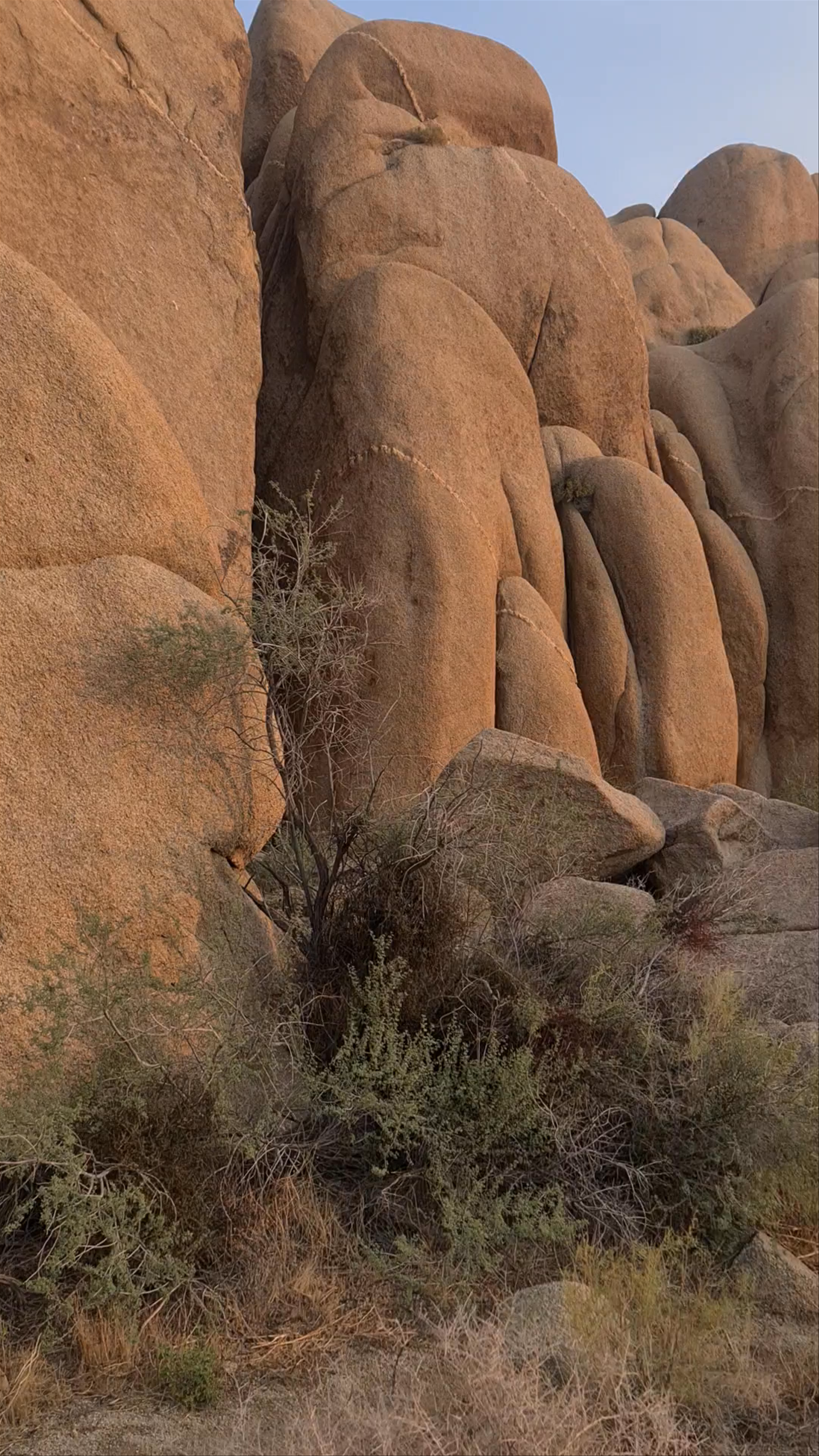 Jumbo Rocks Campground