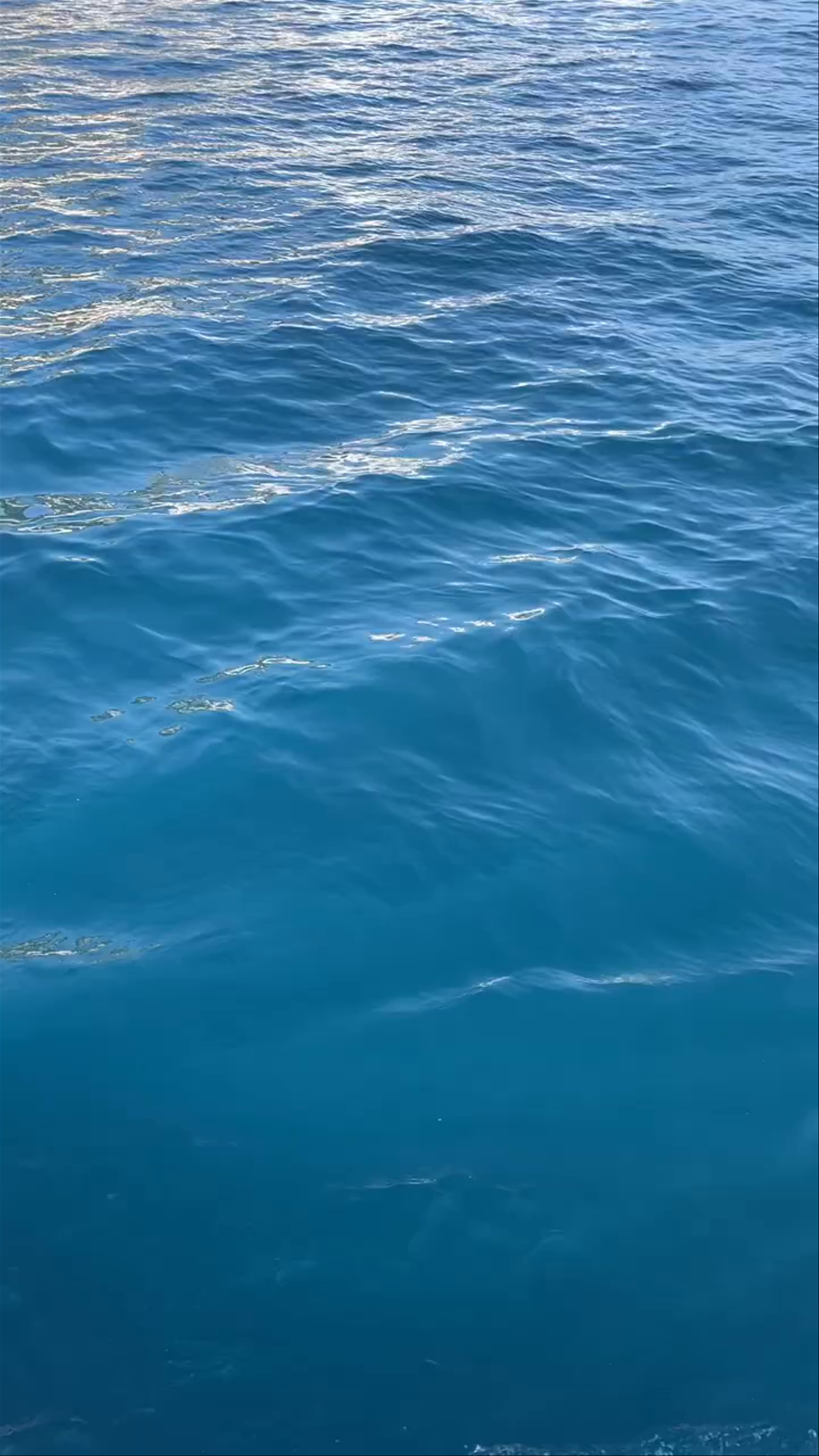 Scenic Boat Ride Along the Stunning Amalfi Coast, Italy