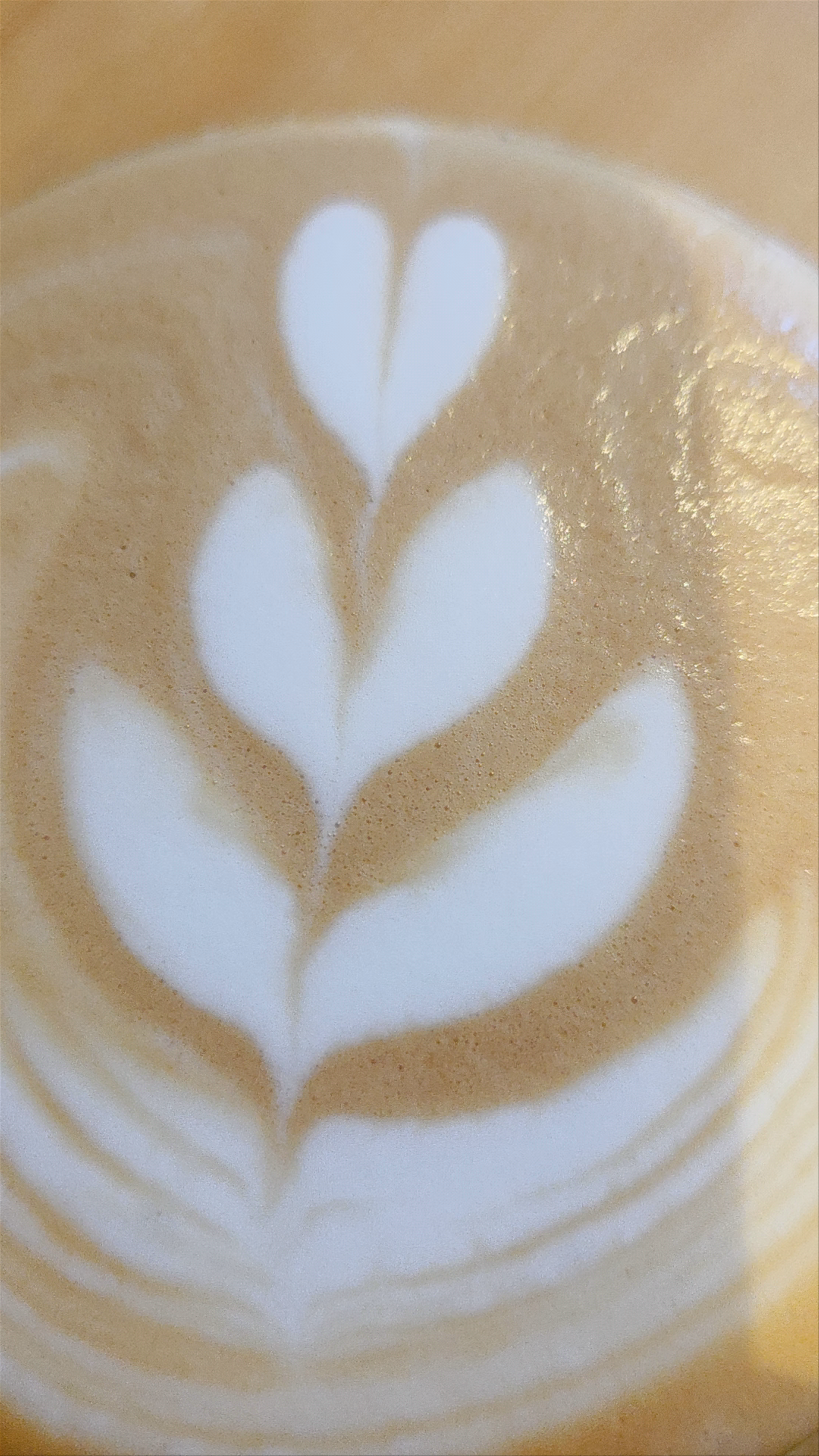 Swallow - Specialty Coffee