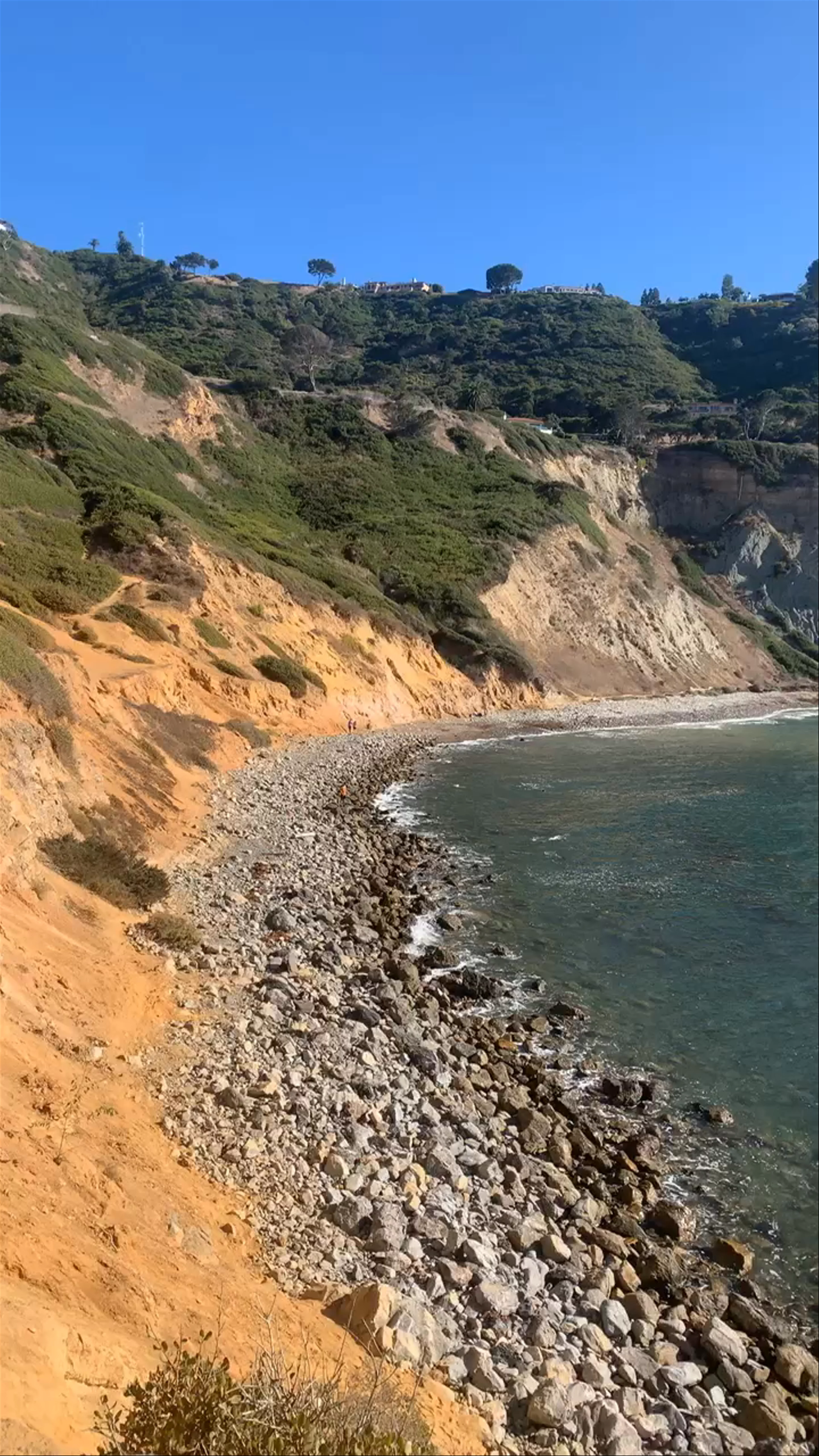 Bluff Cove Trail
