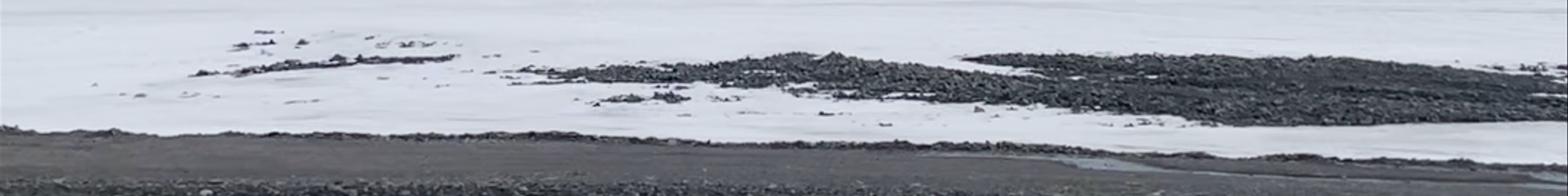 Tours & experiences in Svalbard and Jan Mayen