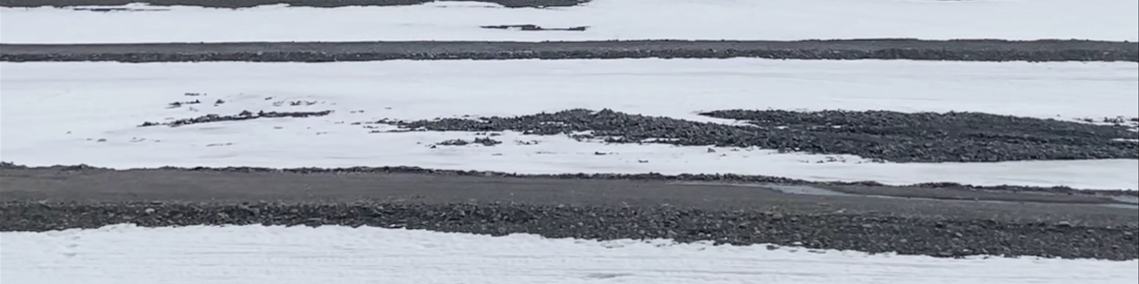 Longyearbreen