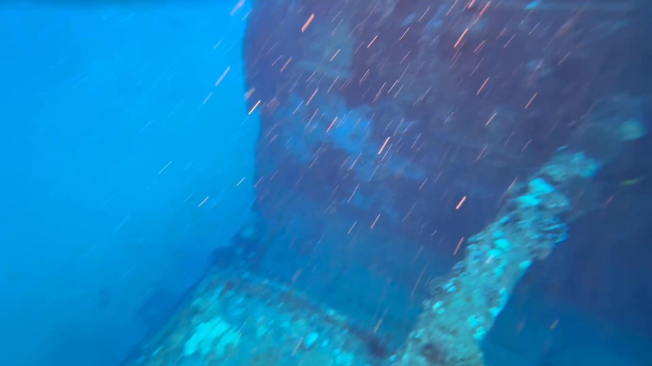Hawaiian Diving Adventures - Scuba Diving Near Me - Honolulu, Hawaii