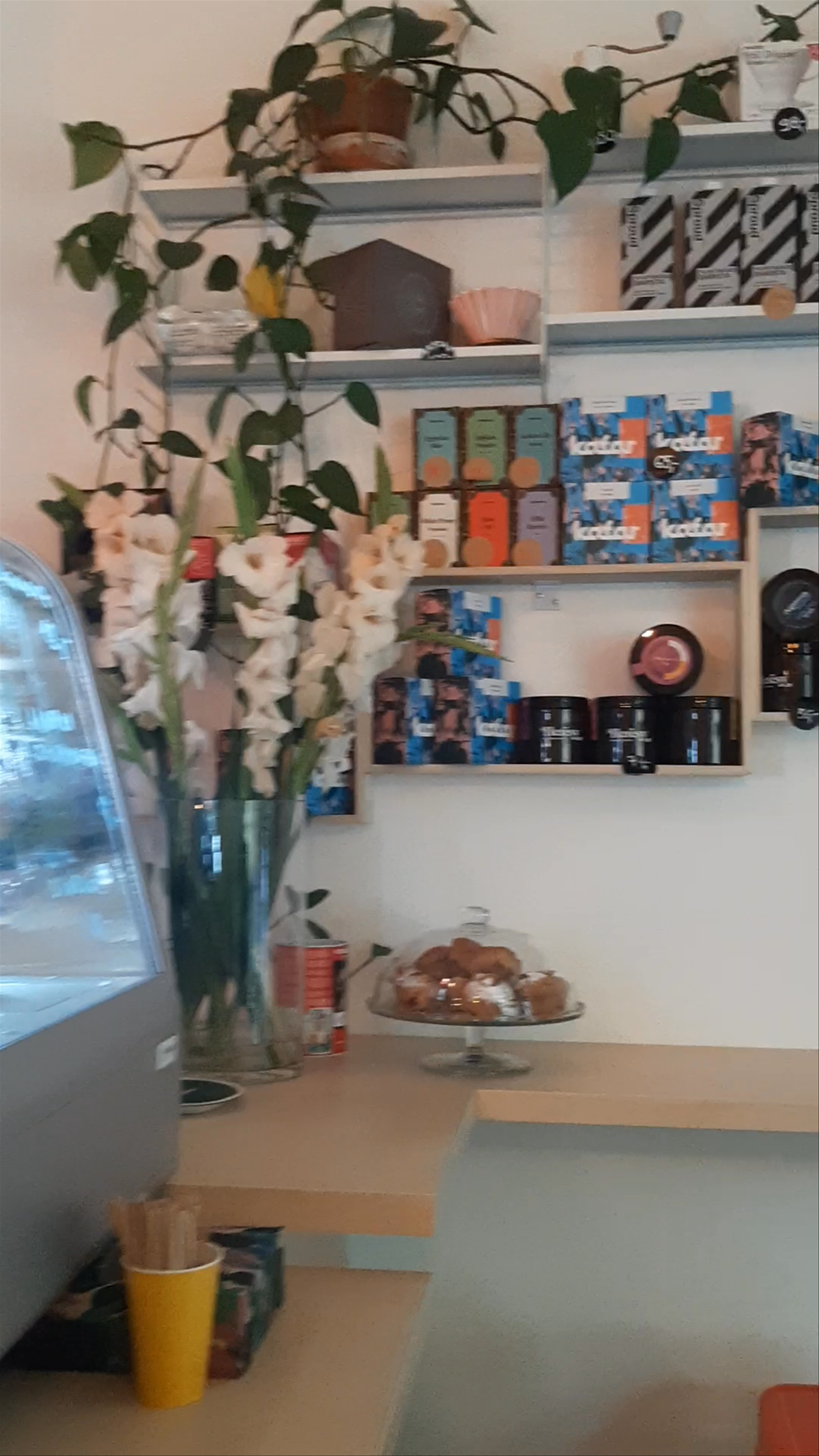 CAFE HECA: Cozy Coffee Vibes in Lublin