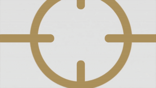 Video Thumbnail Loop