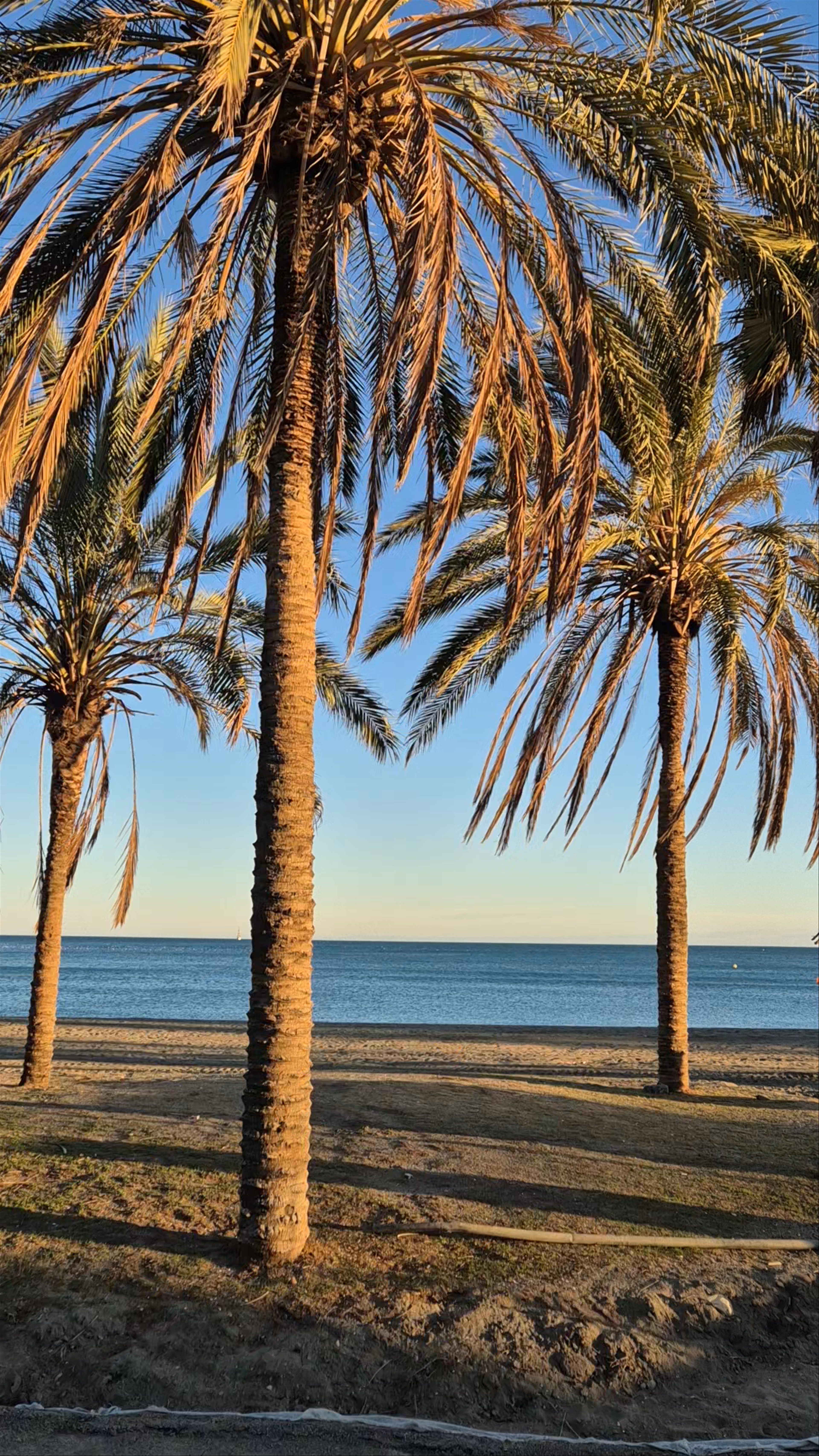 Playa de la Malagueta (Málaga)