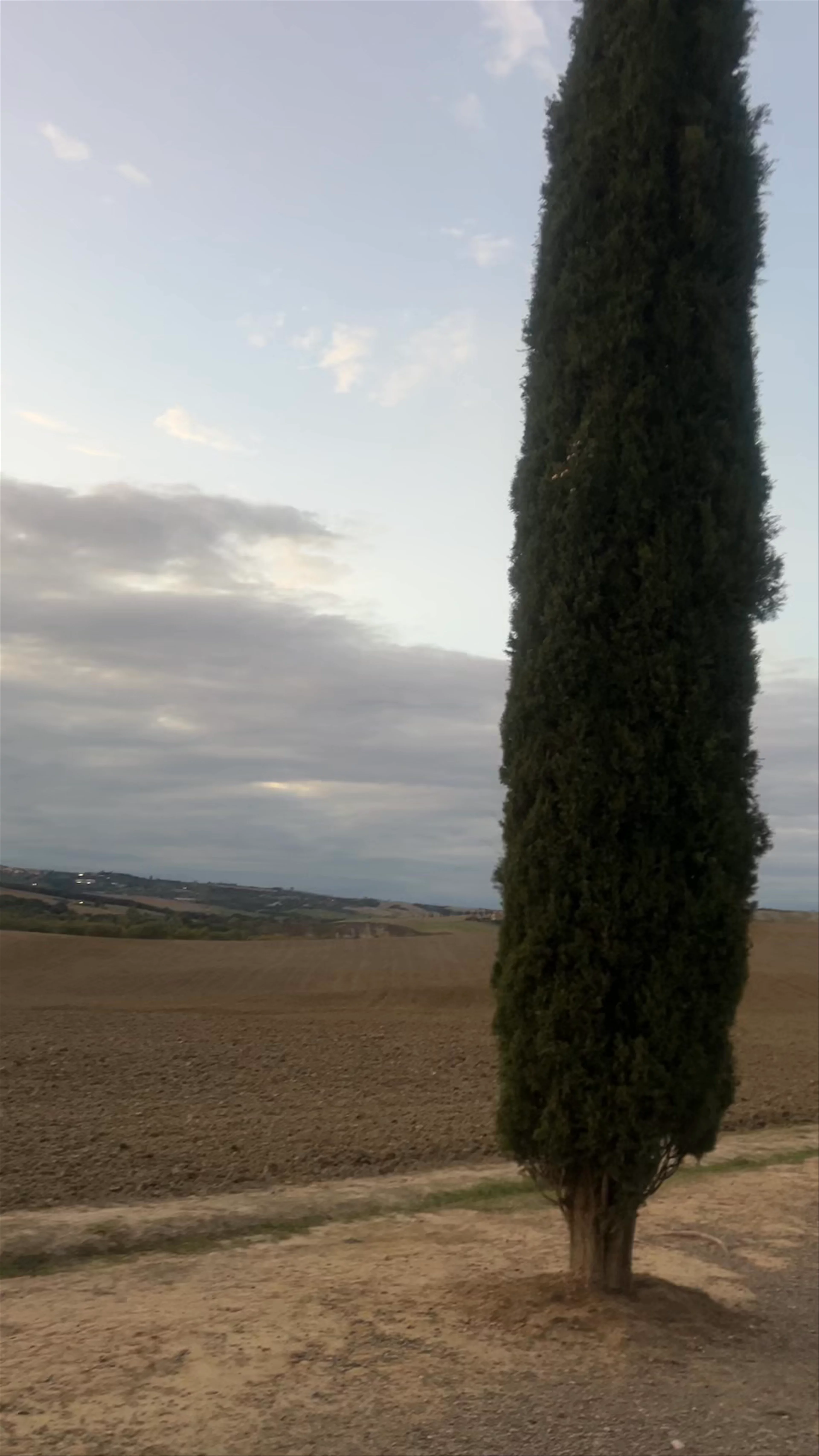 Poggio Covili viewpoint