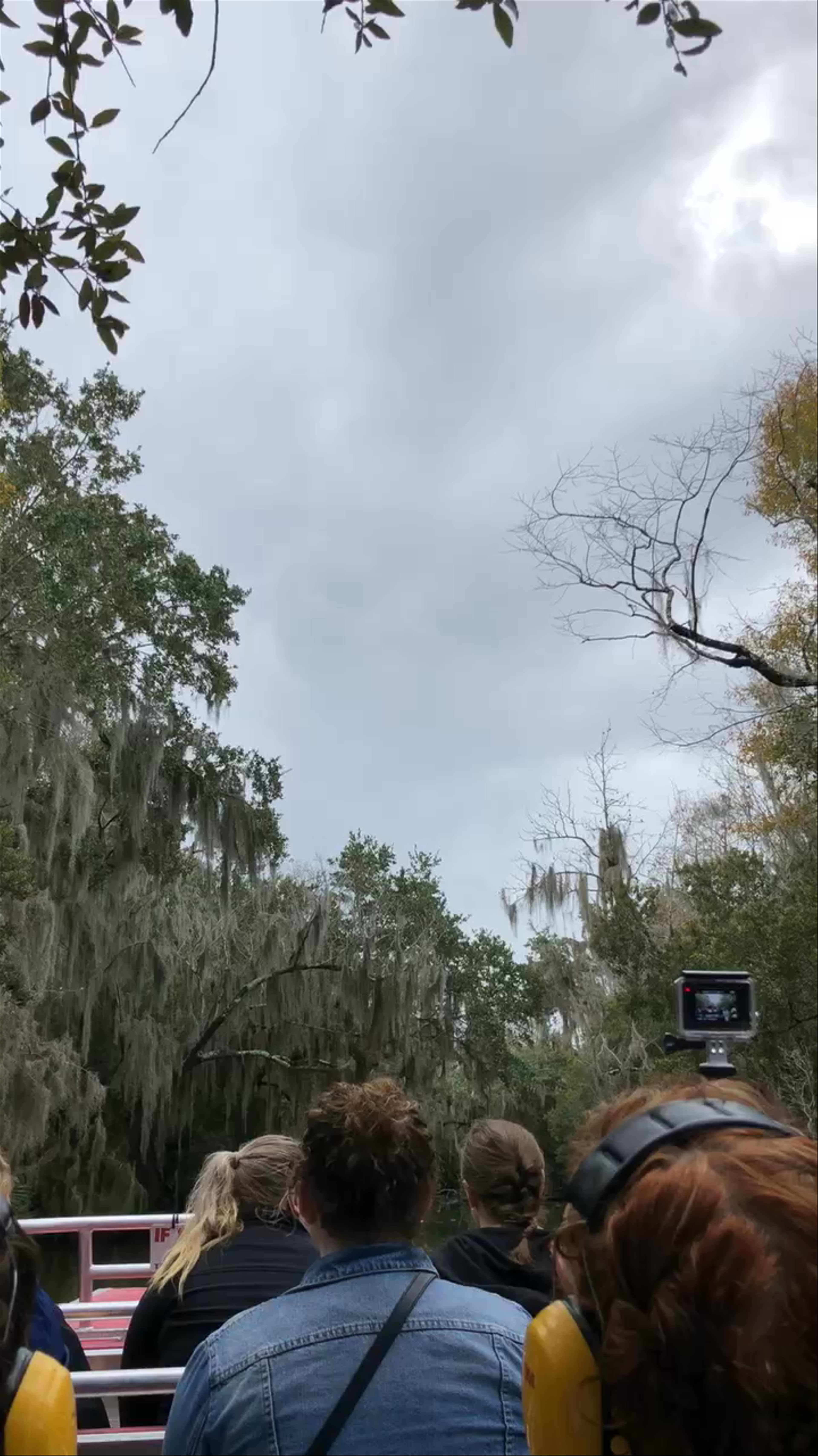 Swamp Boat Tour in New Orleans Bayou
