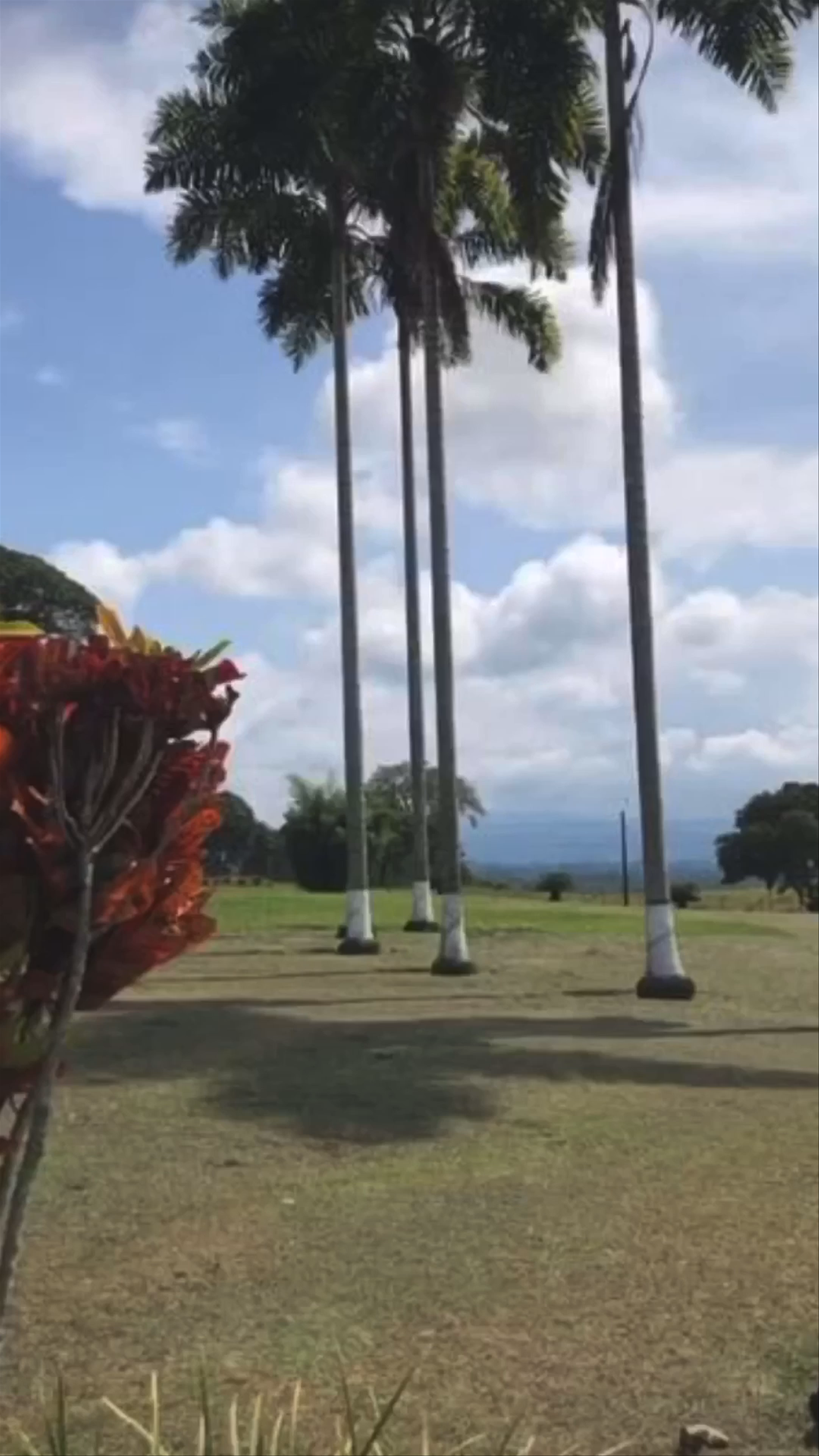 Hotel Finca Barlovento Cabaña