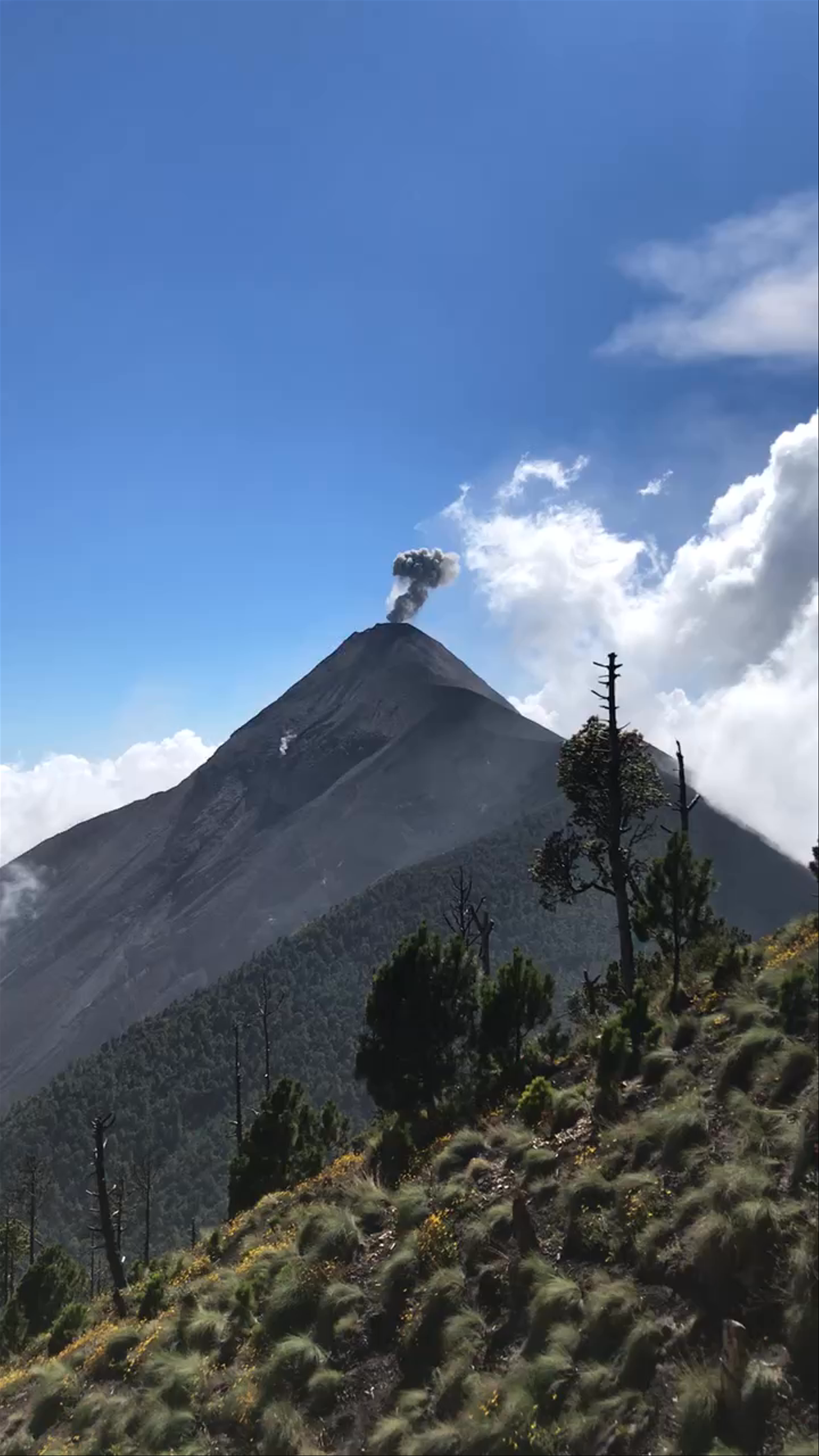 Volcan de Acatenango