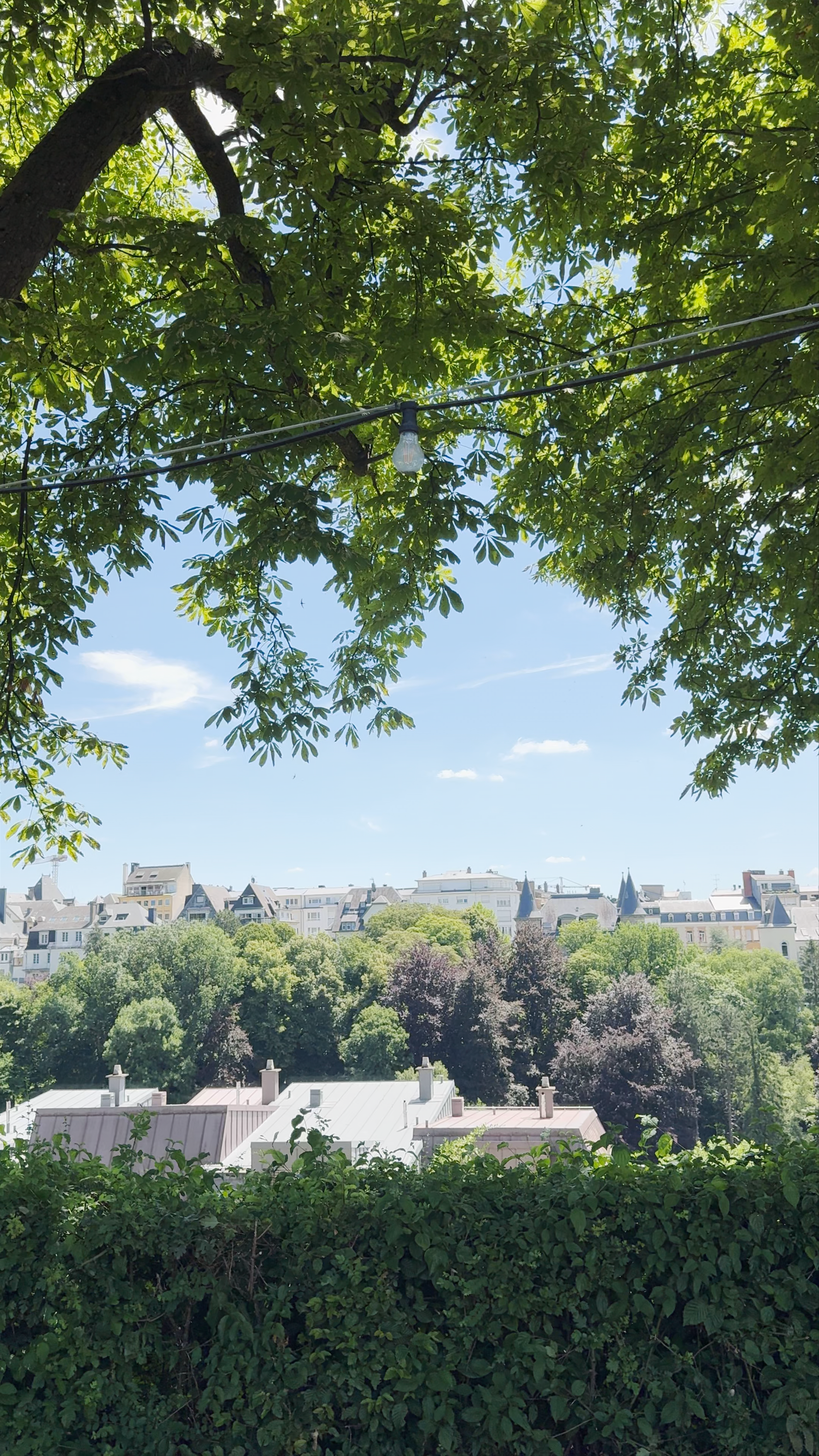 Hôtel Parc Belle-Vue