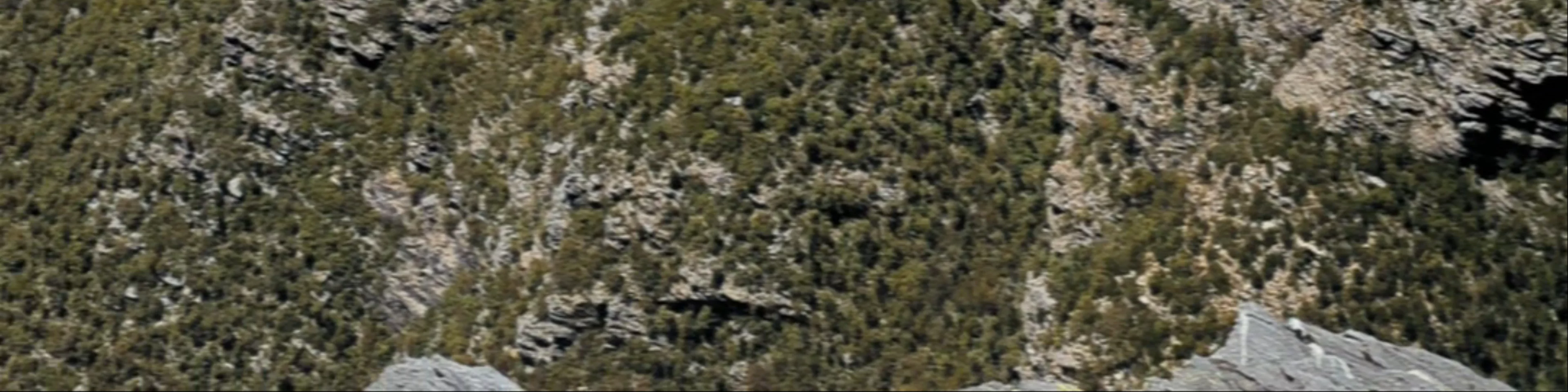 Bluff Knoll