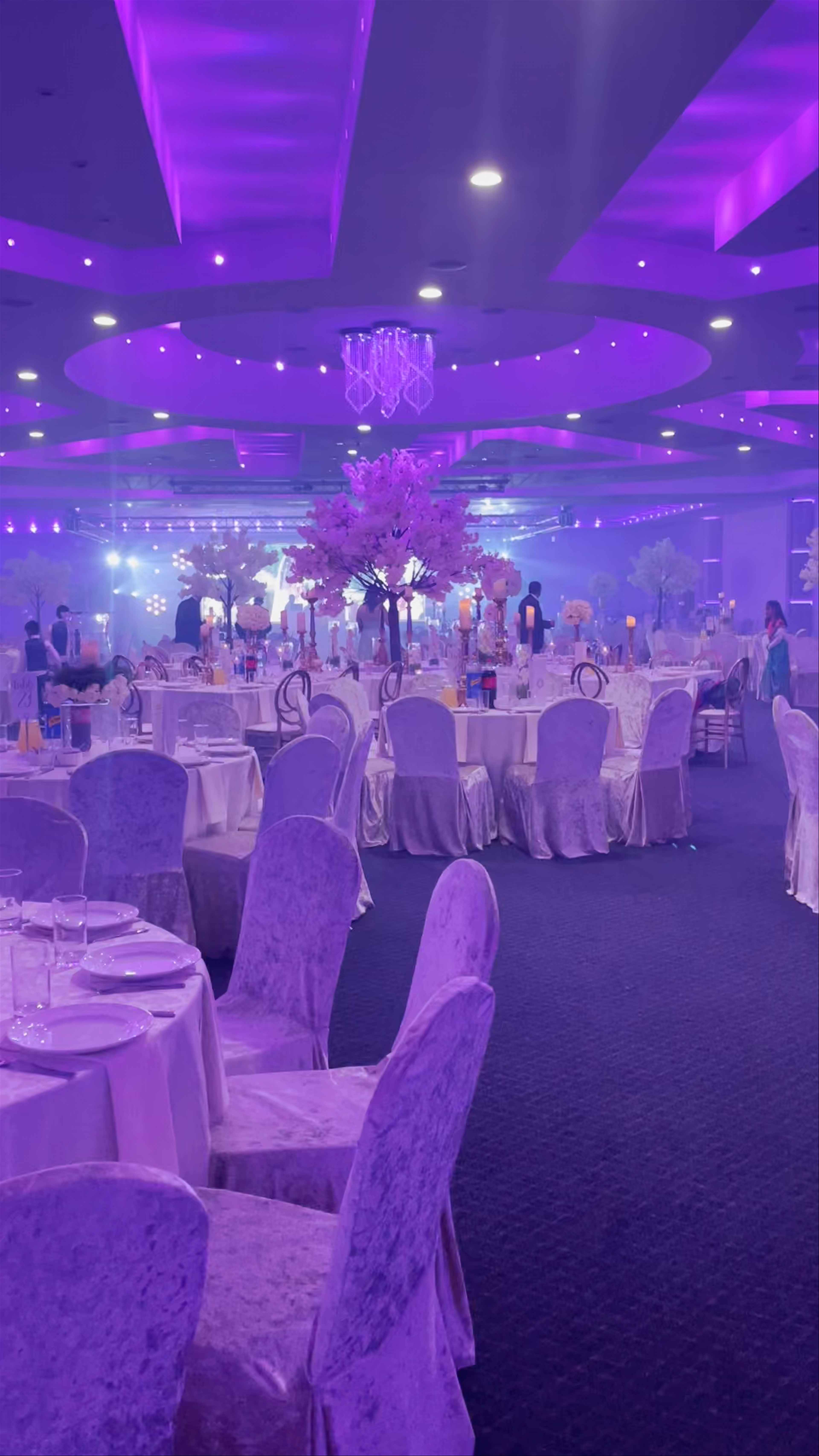 Prestige Suite