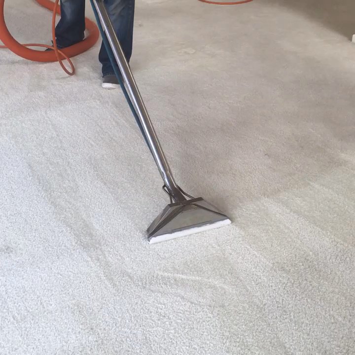 JV Carpet Cleaner - An other successful job today - Carpet Cleaning Near Me