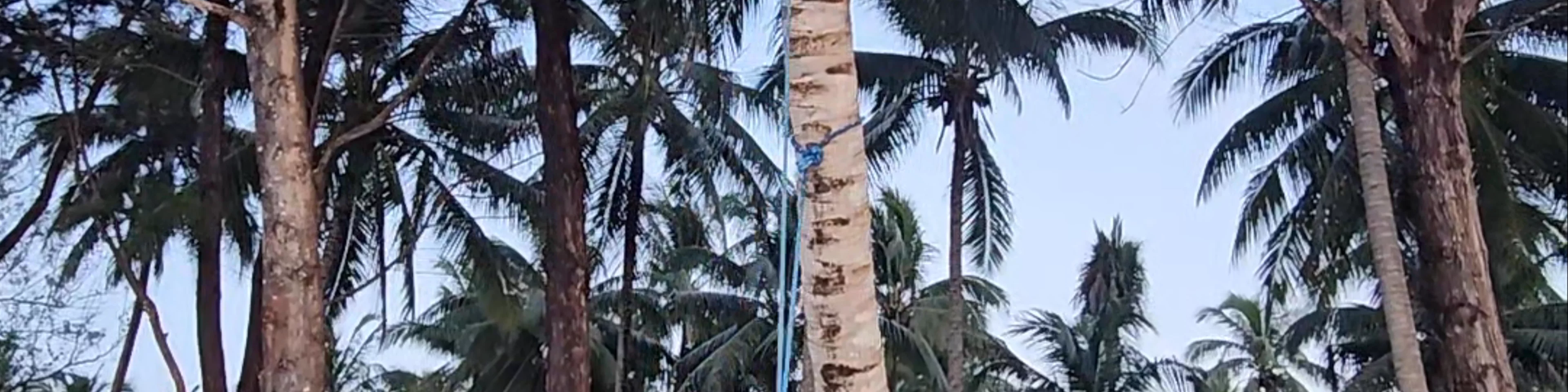 Patawan Island
