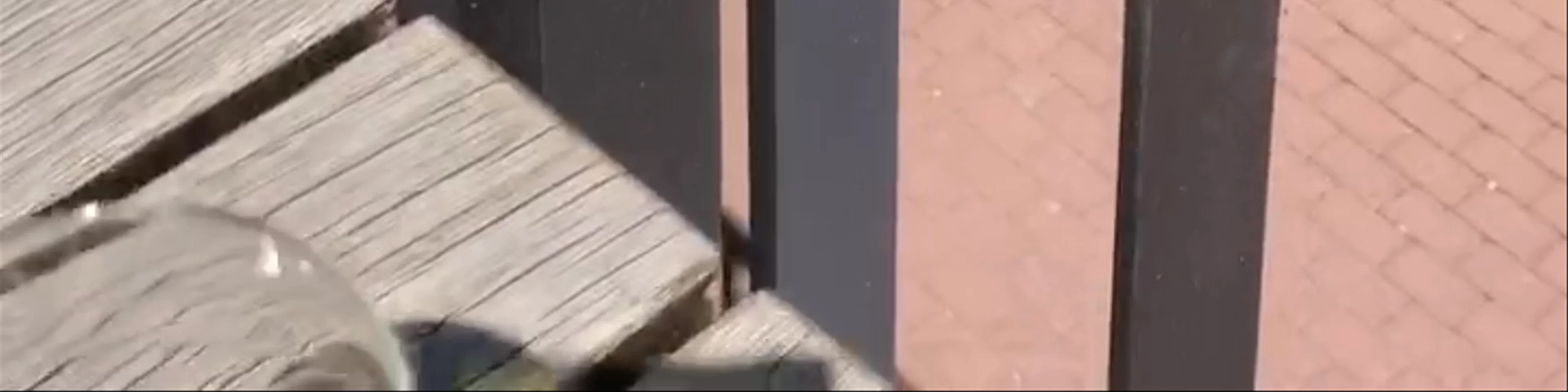 Lodge – Beef’s Finest