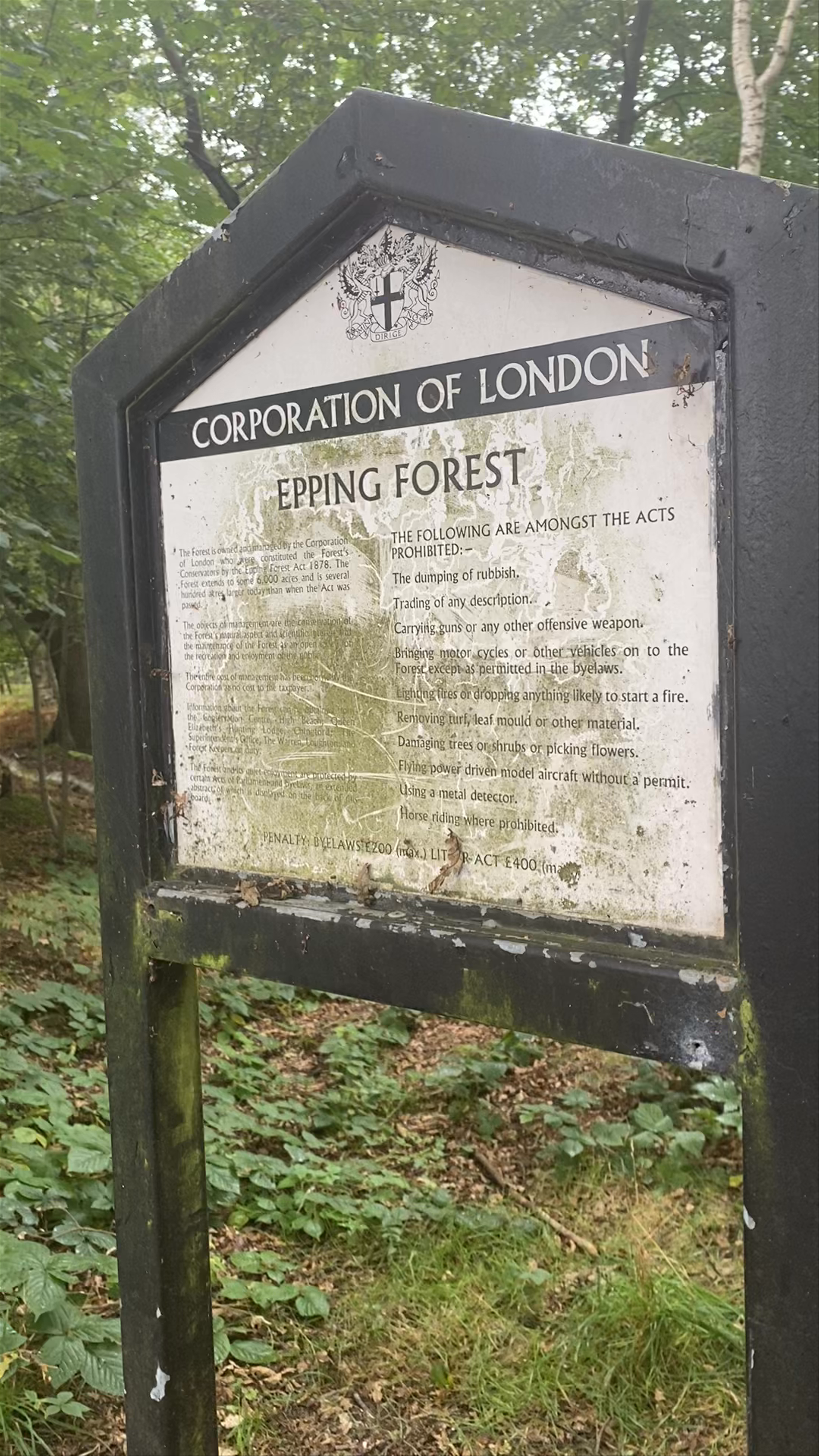 Epping Forest