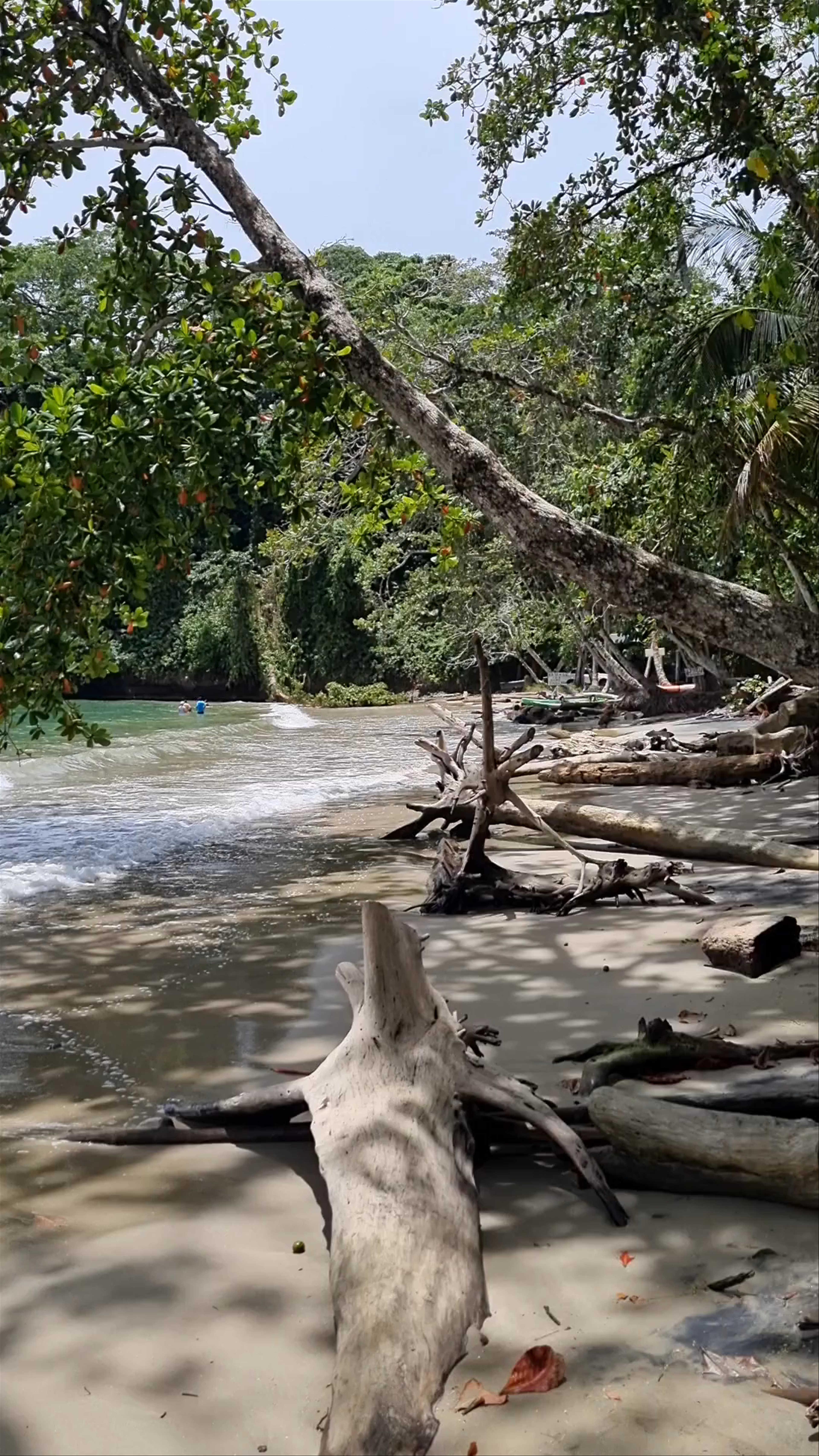 Playa Punta Uva: Tropical Serenity and Wild Beauty in Costa Rica