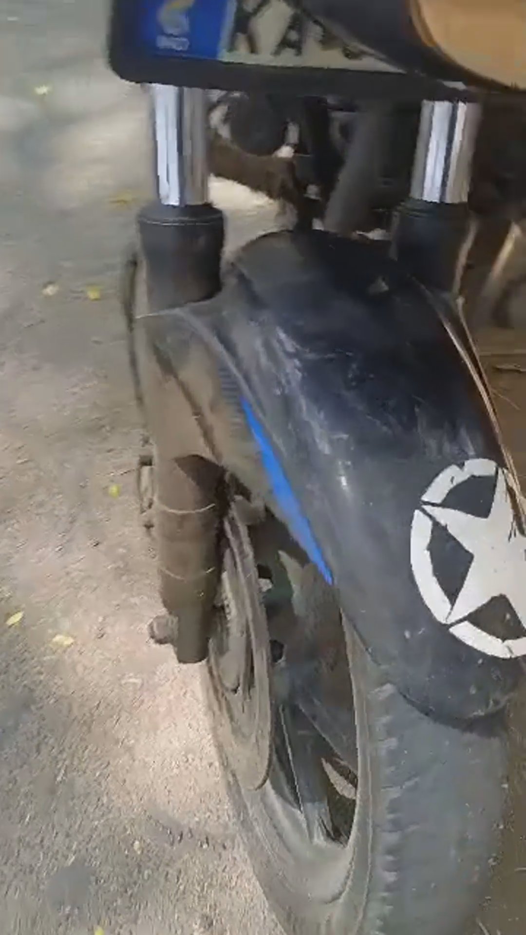 Walk-around video thumbnail