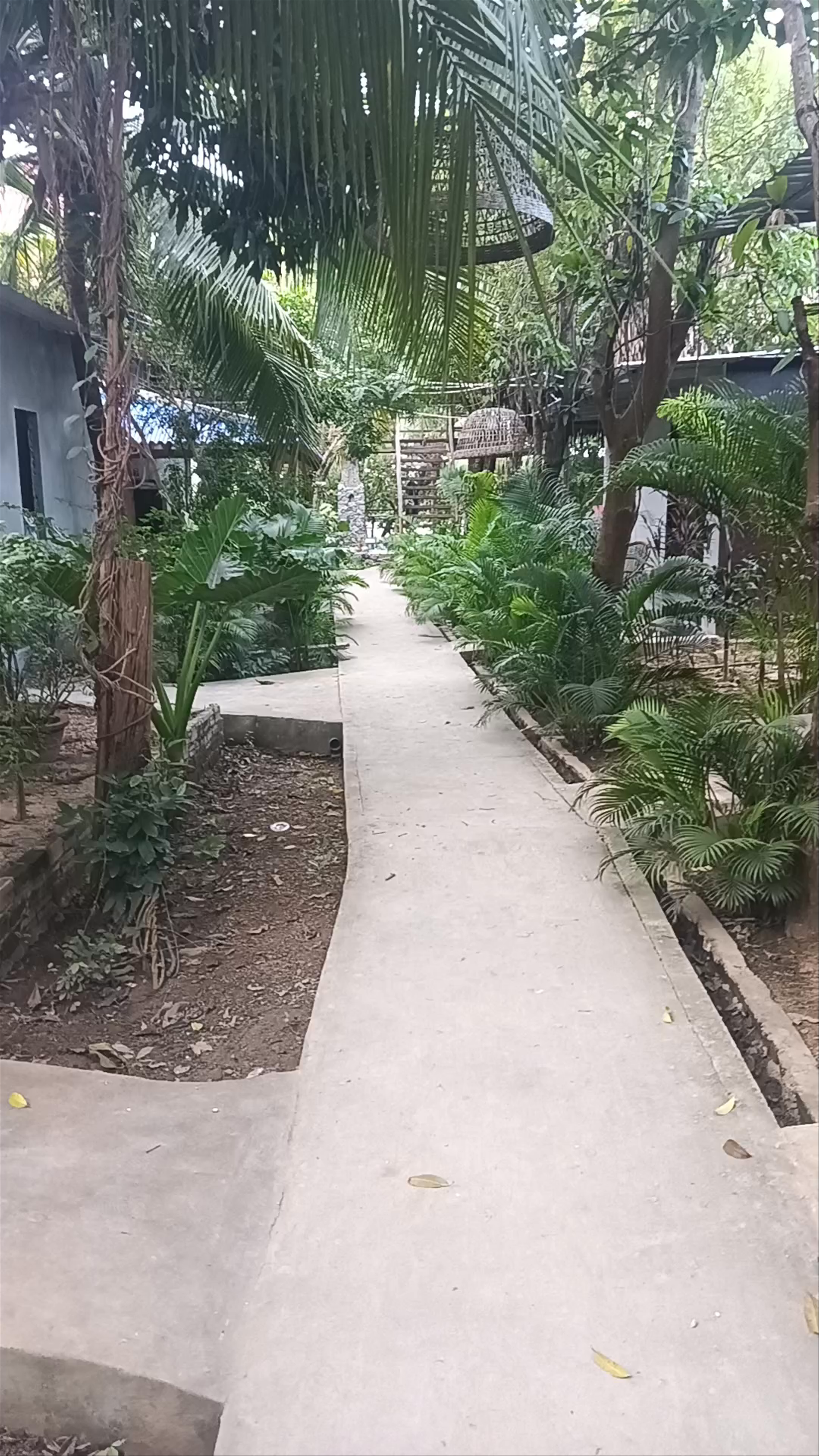 River Nest Hostel