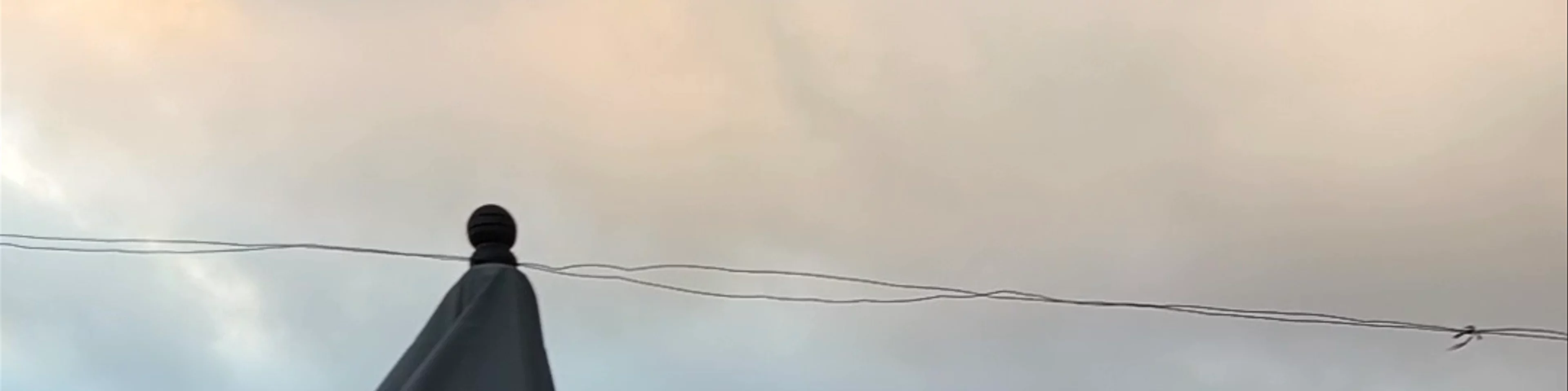 Kinoki