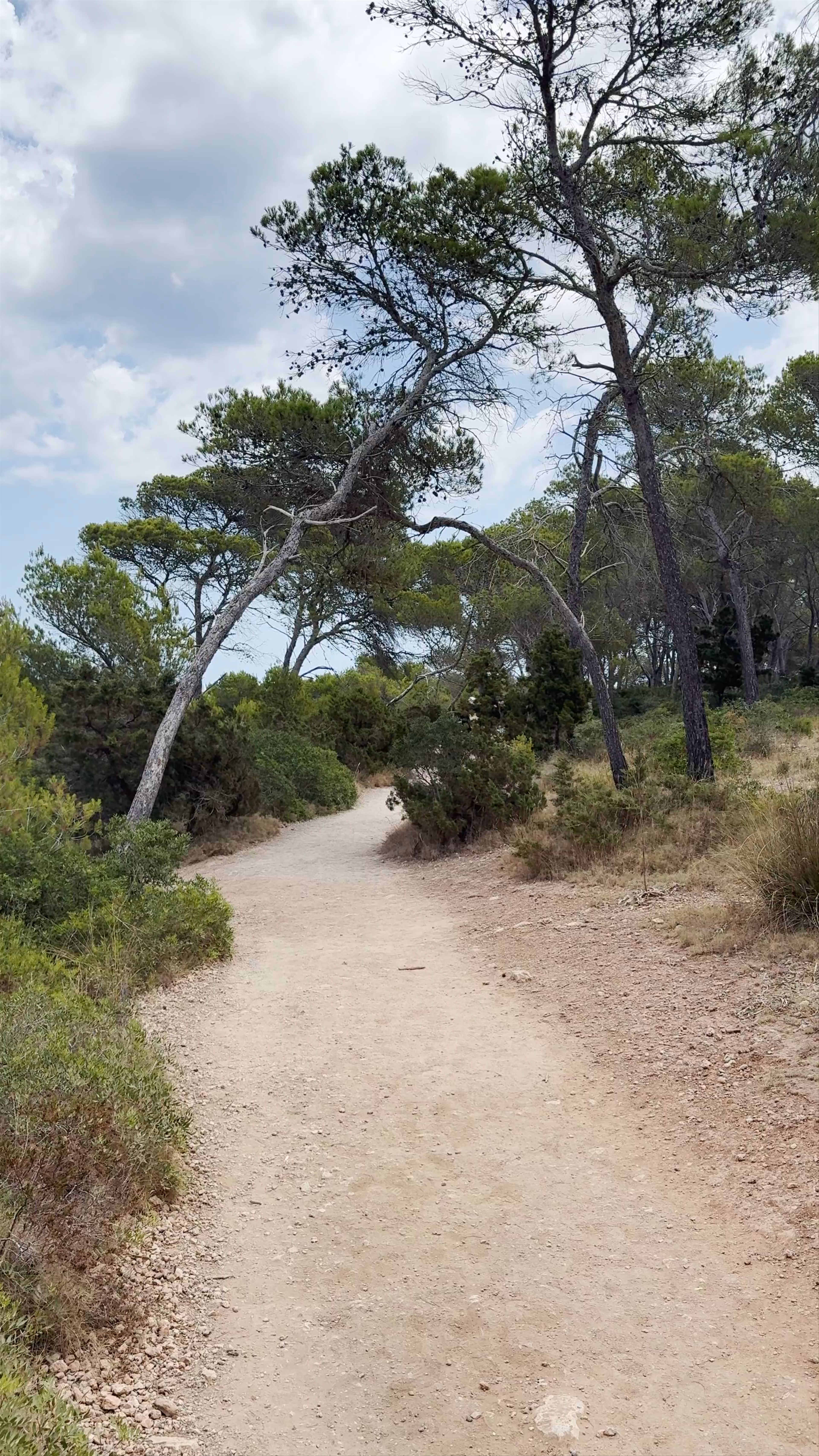 Serene Hiking Trail at Punta de ses Gatoves, Portopetro, Spain