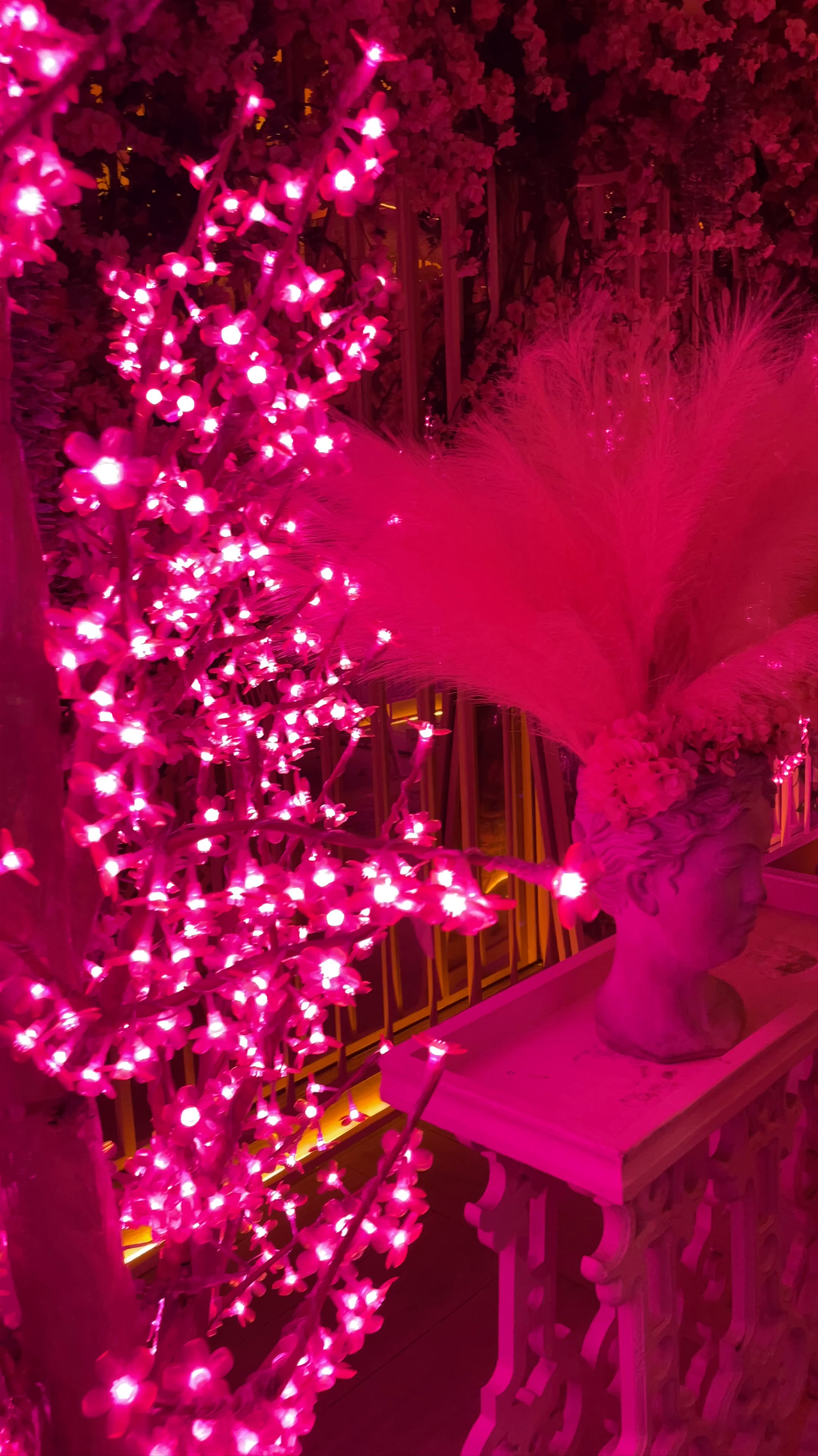 Bloom Madrid: Enchanting Evening of Pink Lights and Floral Elegance