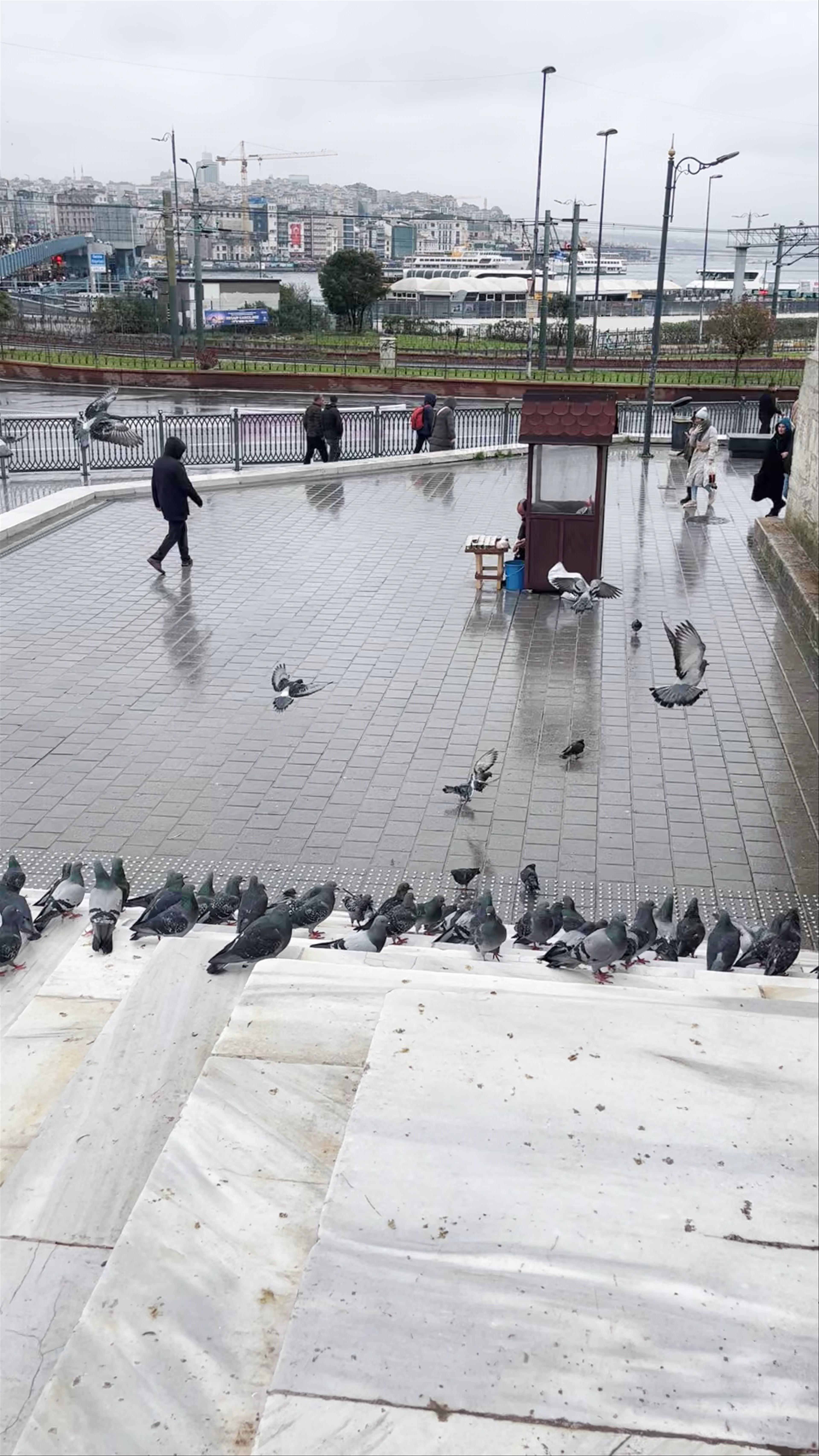 Rainy Day Life and Pigeons at Eminonu Square, Istanbul