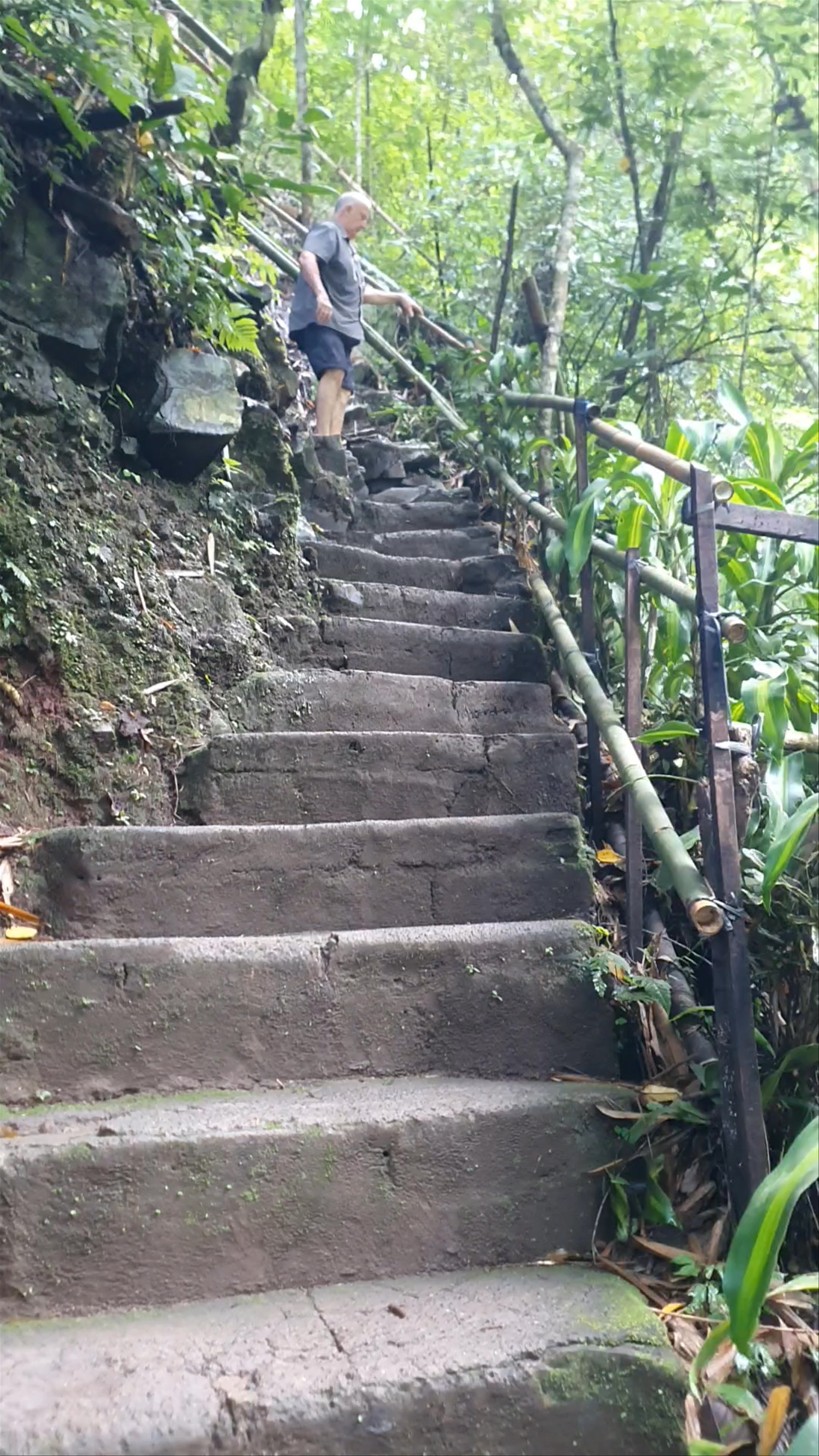 Labuhan Kebo Waterfalls Trek: Jungle Steps in Bali