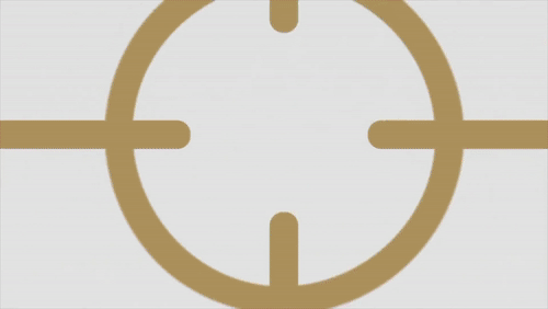 Video Thumbnail Loop